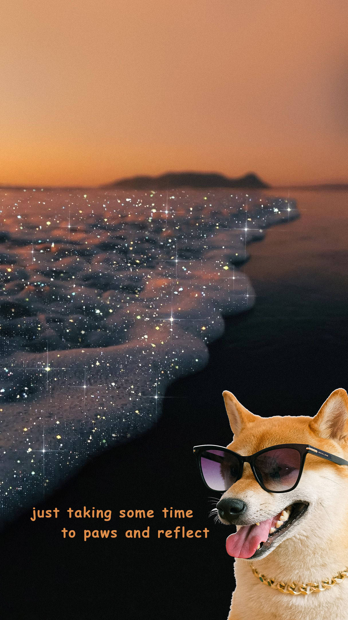 海灘狗狗趣味美學 壁紙