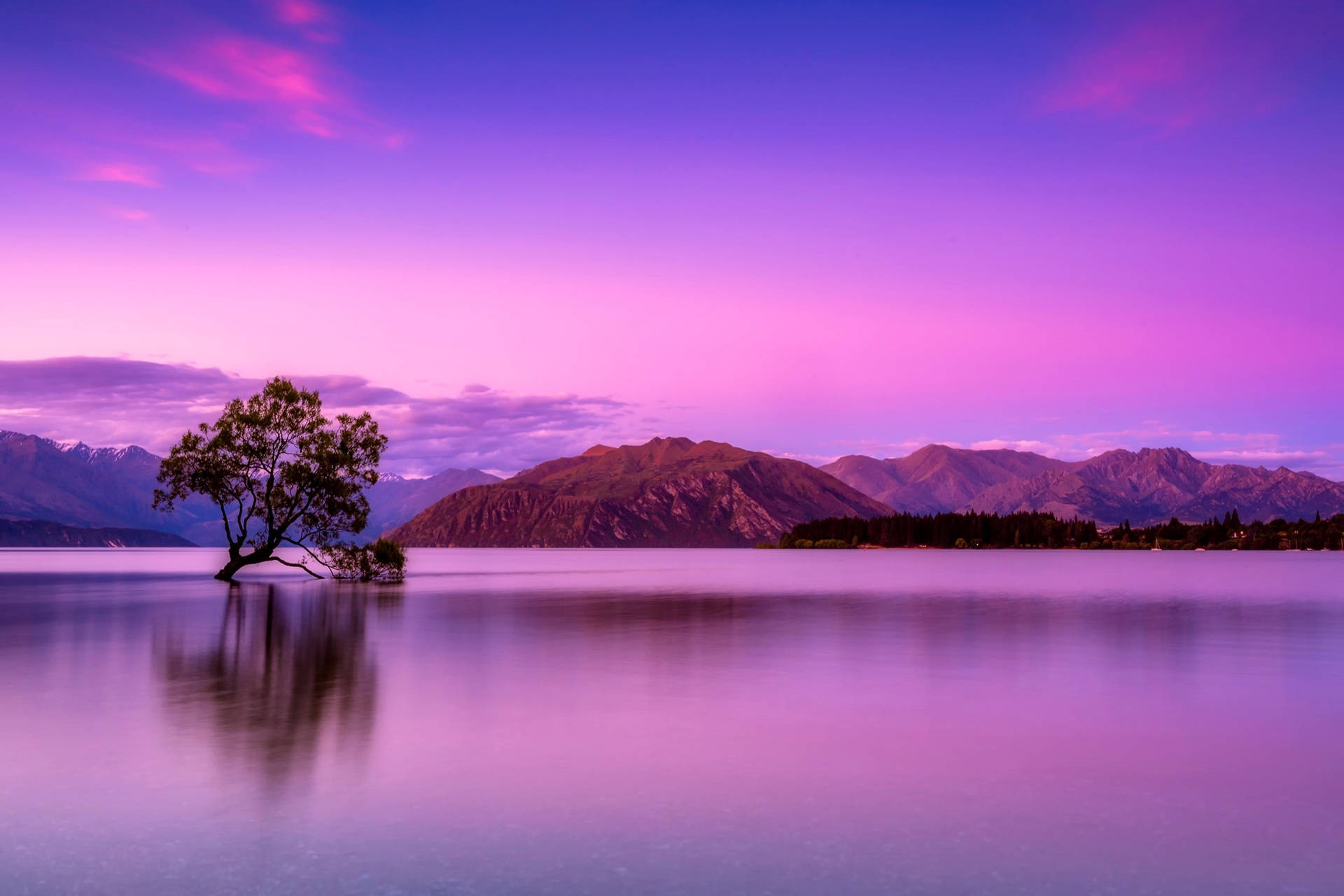 涟漪湖景