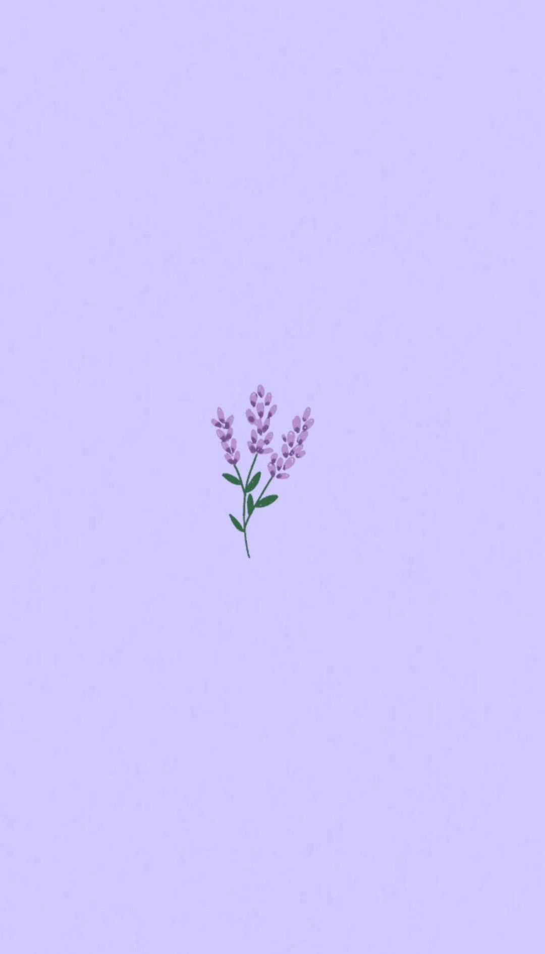 淡紫美學薰衣草花 壁紙