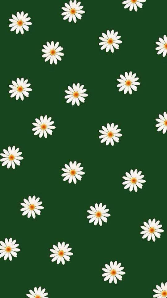 深綠白花 壁紙