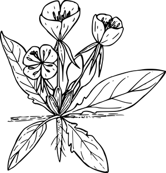 深色空白画布 壁紙