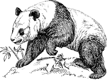 深色空白画布 壁紙