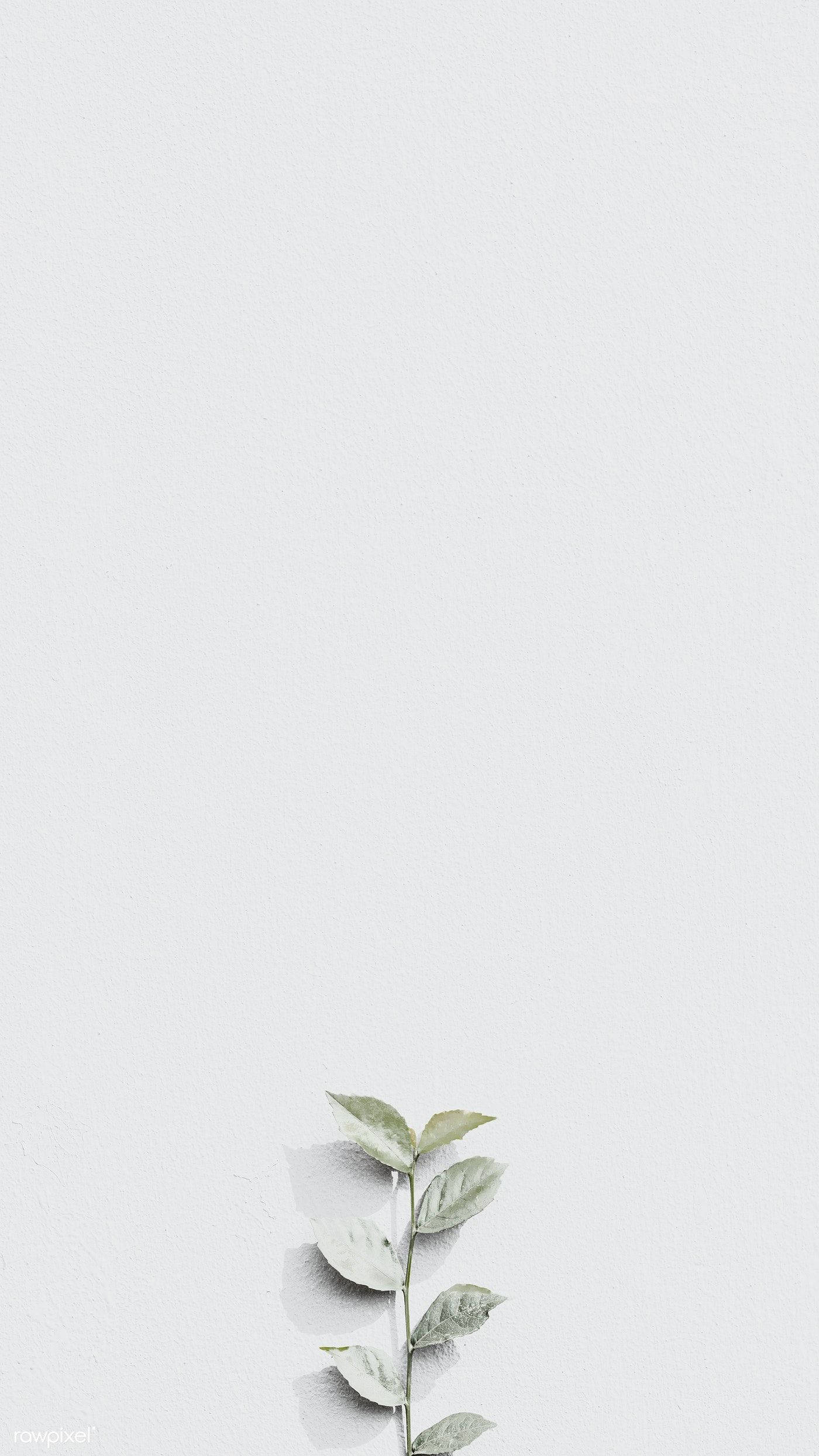 淺灰美學綻放 壁紙