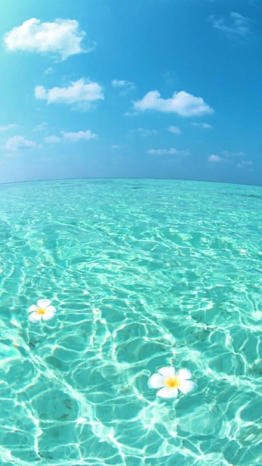 清涼夏日碧藍海水 壁紙
