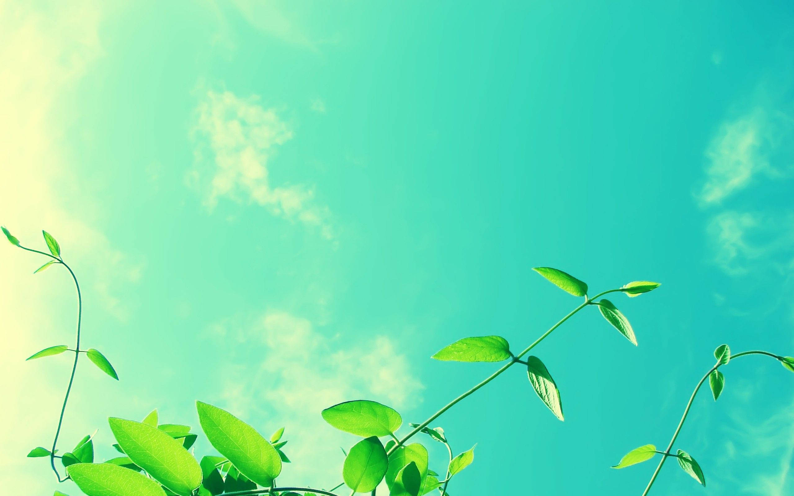 清涼藍綠天空 壁紙