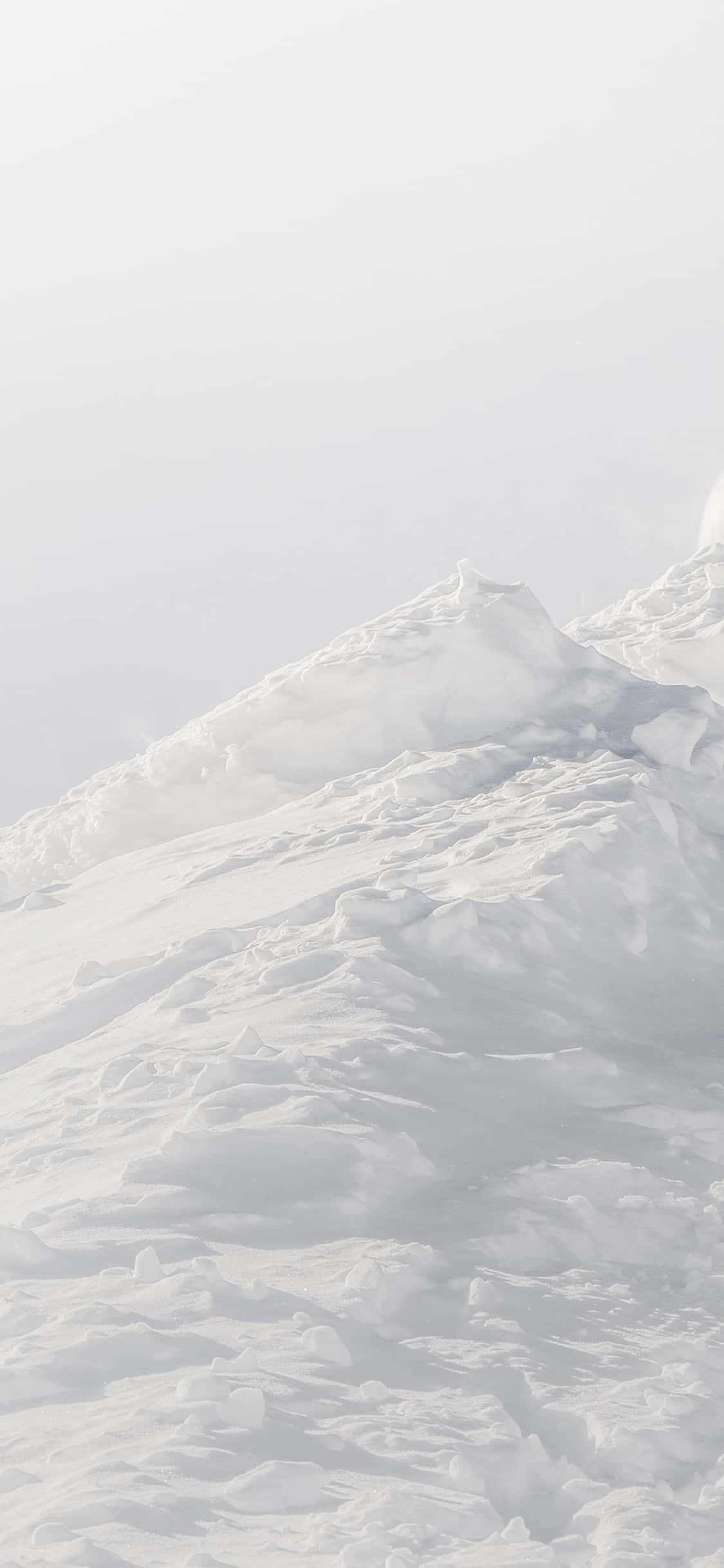 滑雪者從雪坡上滑下 壁紙