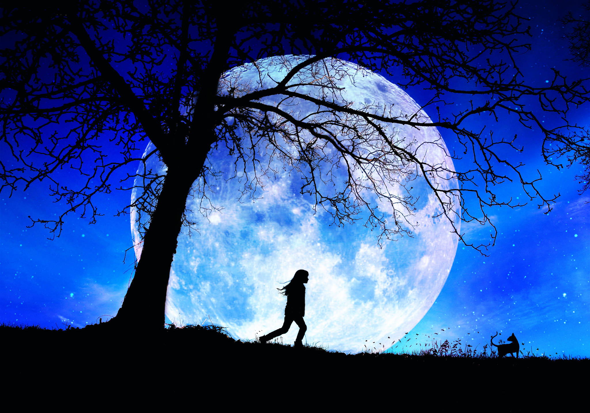 漫步月夜星空 壁紙