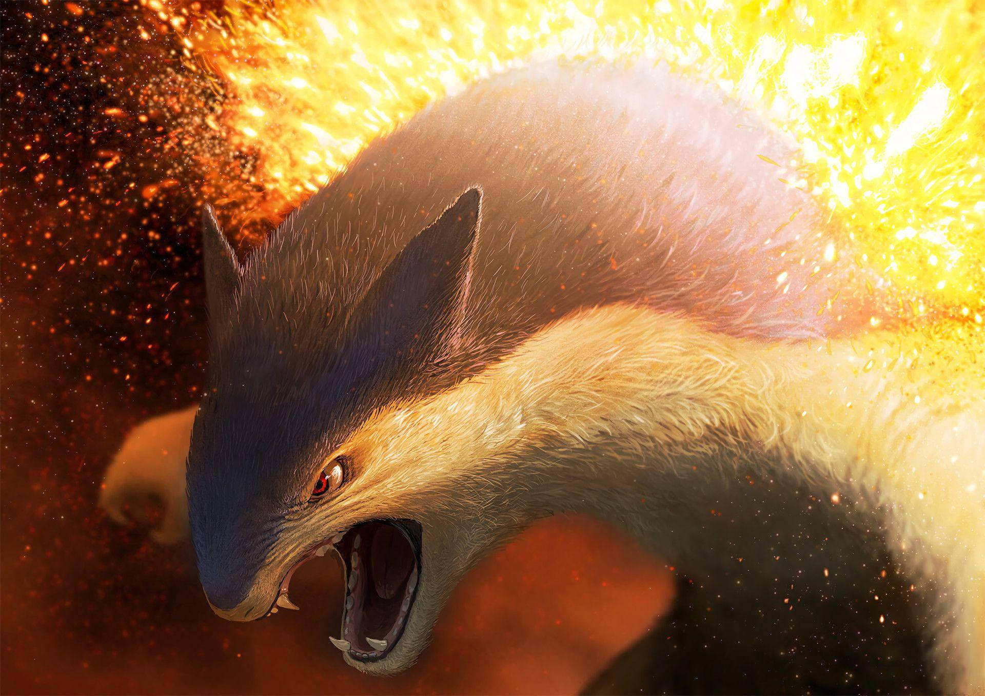 火爆兽特写高清 壁紙