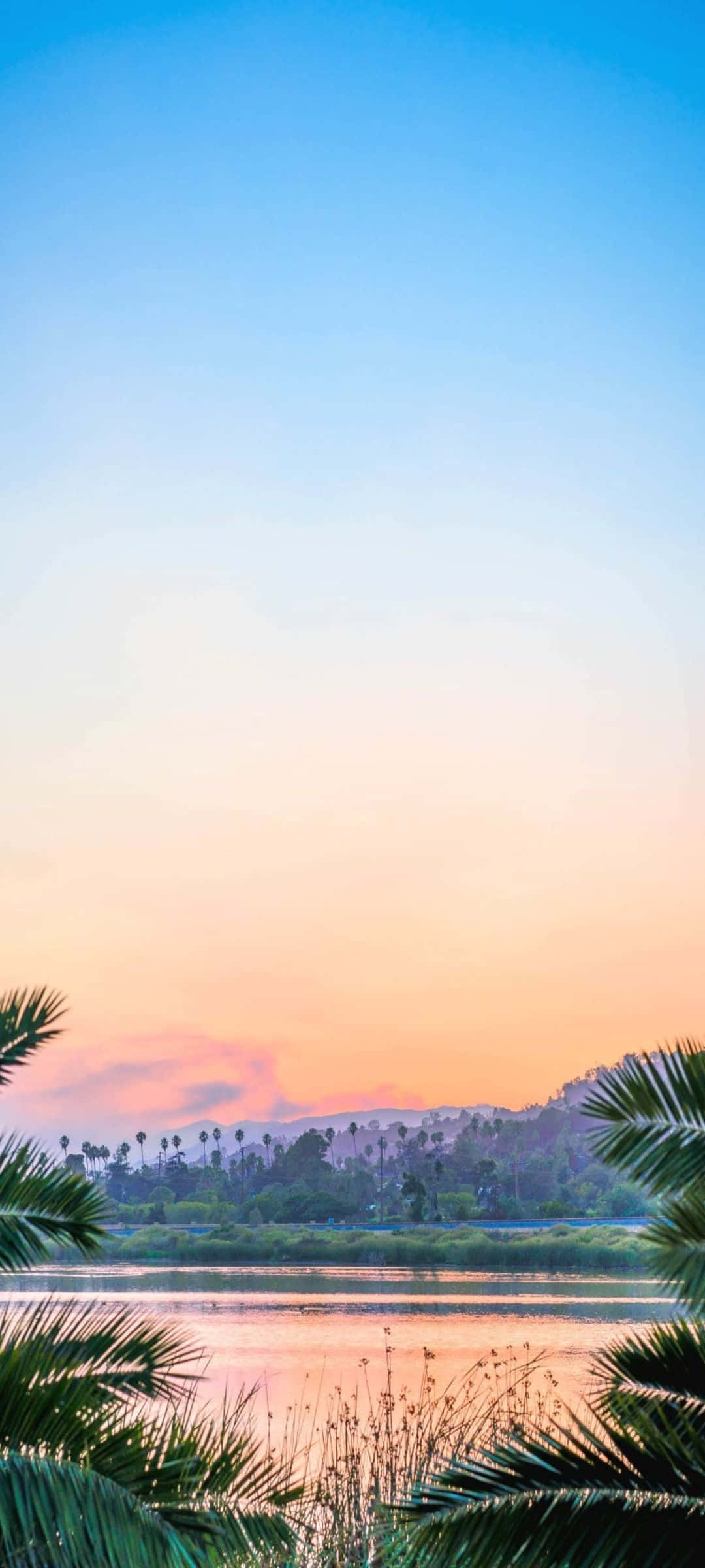 热带夕阳风景 壁紙