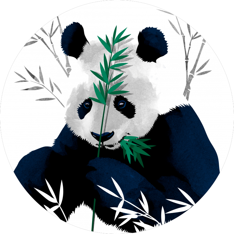 熊猫吃竹子向量艺术 壁紙