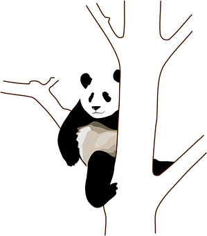 熊猫在树后探头 壁紙