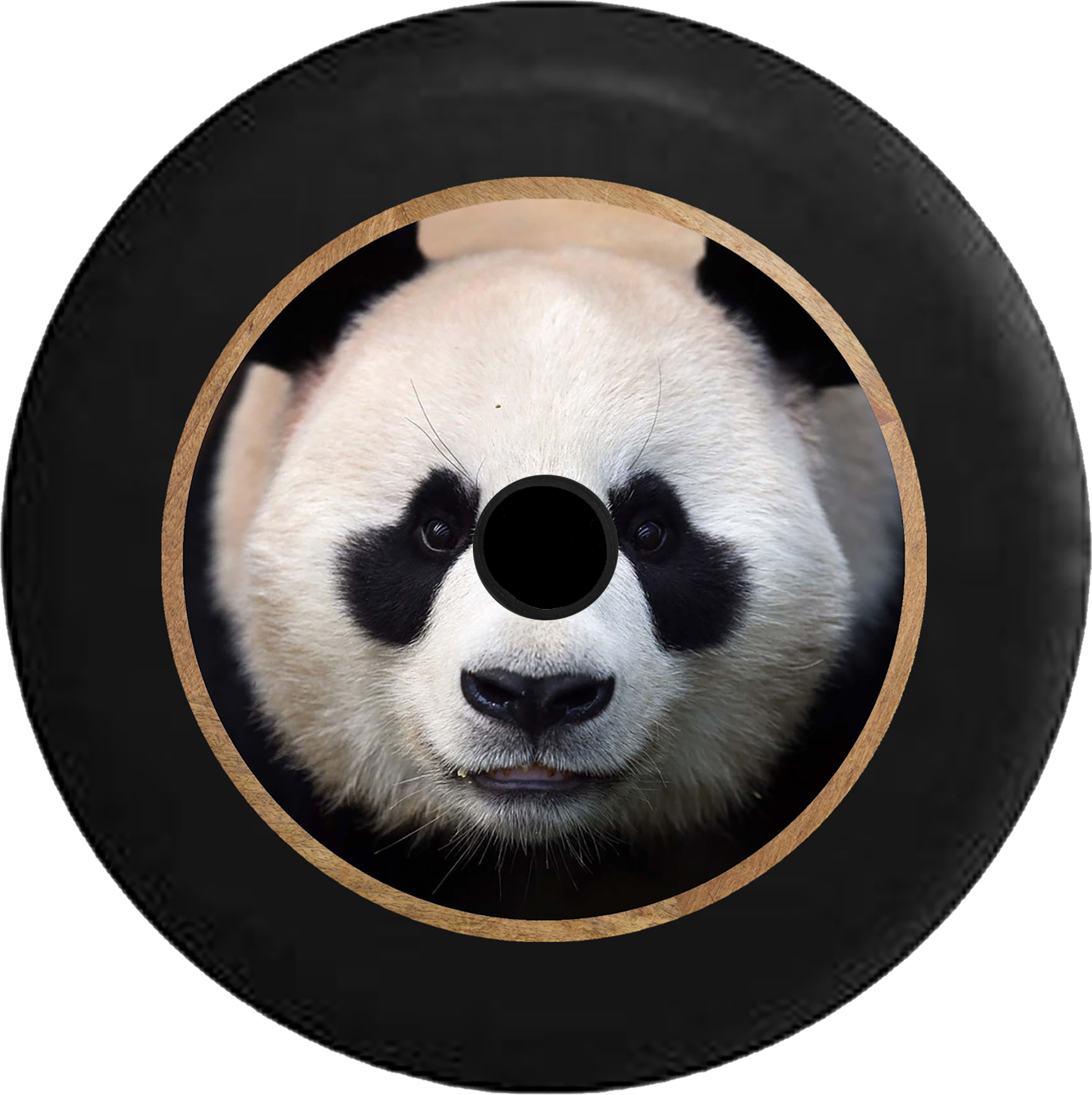 熊猫黑胶唱片艺术 壁紙
