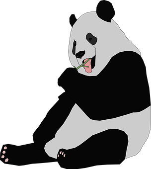 熊貓吃竹子 壁紙