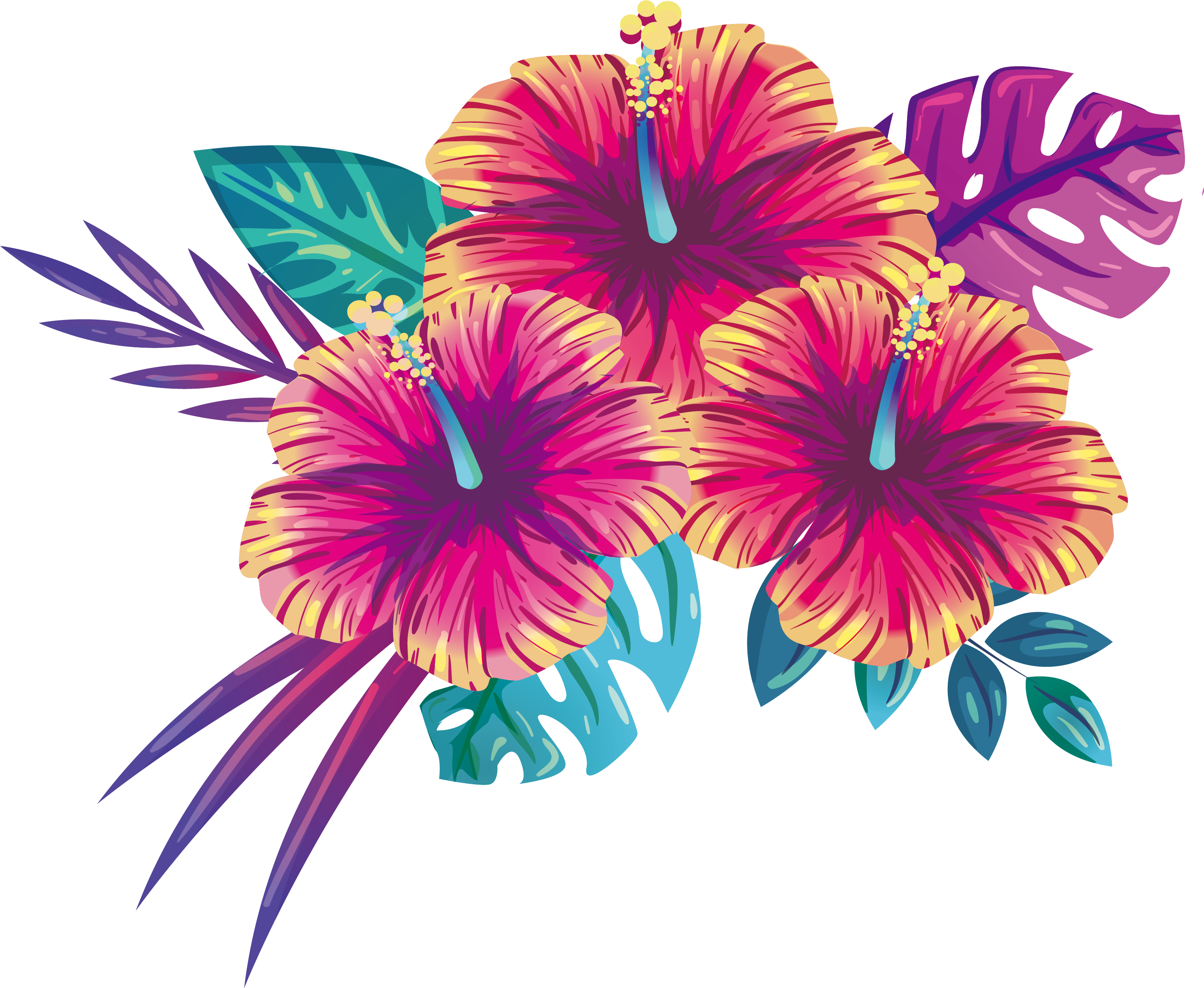 熱帶木槿花卉插圖 壁紙