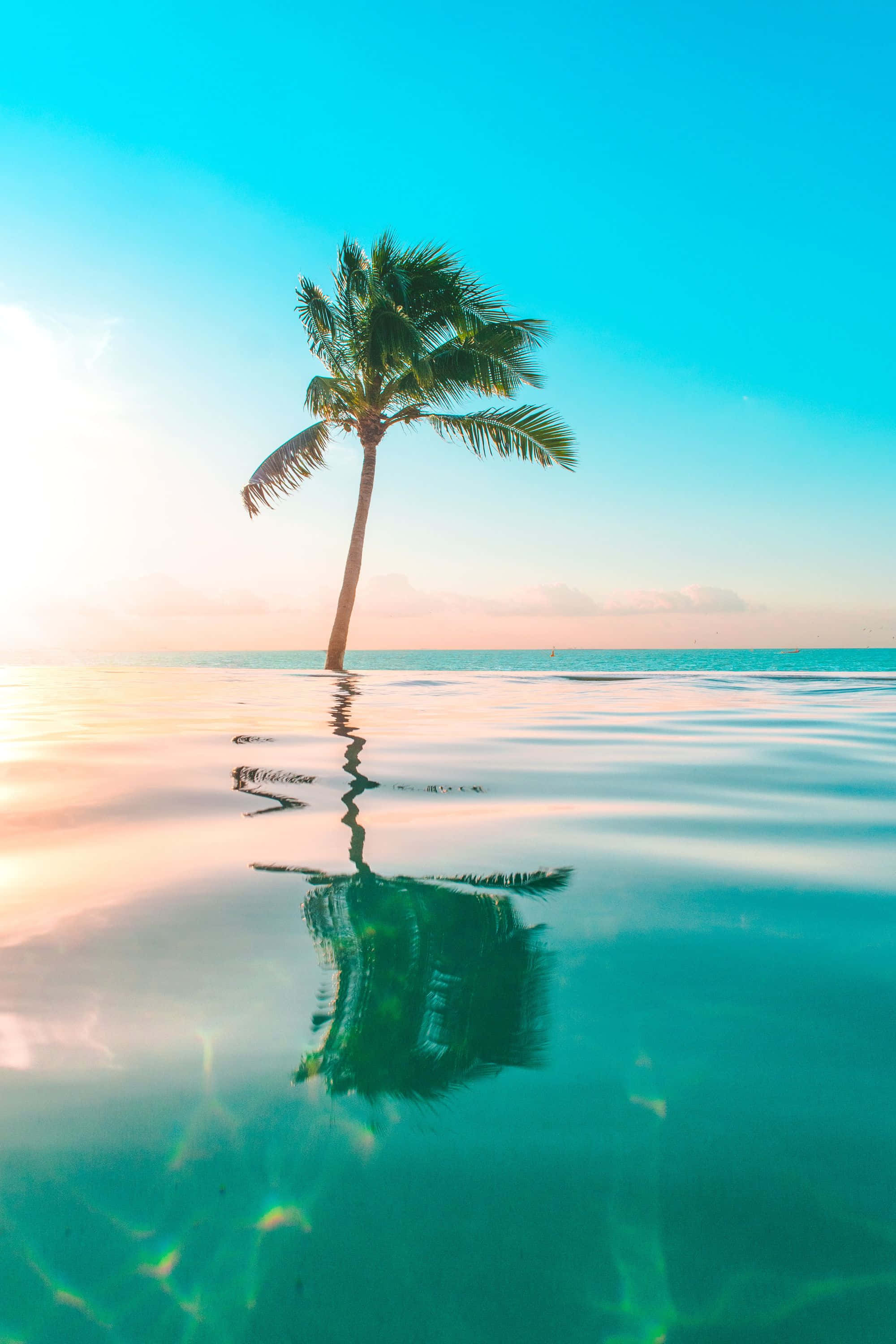 熱帶海灘的絕美景致 壁紙