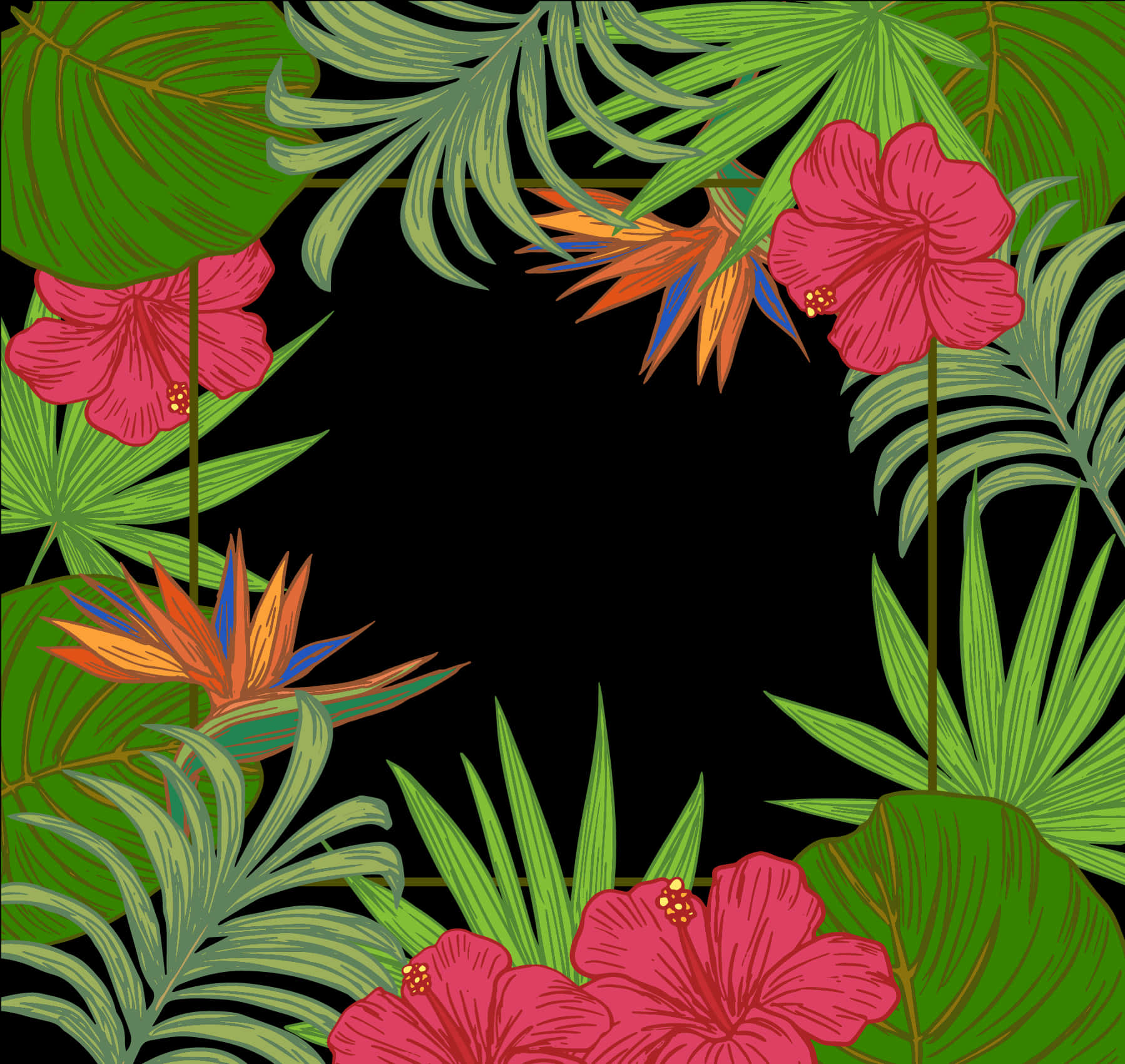 熱帶花卉邊框黑色背景 壁紙
