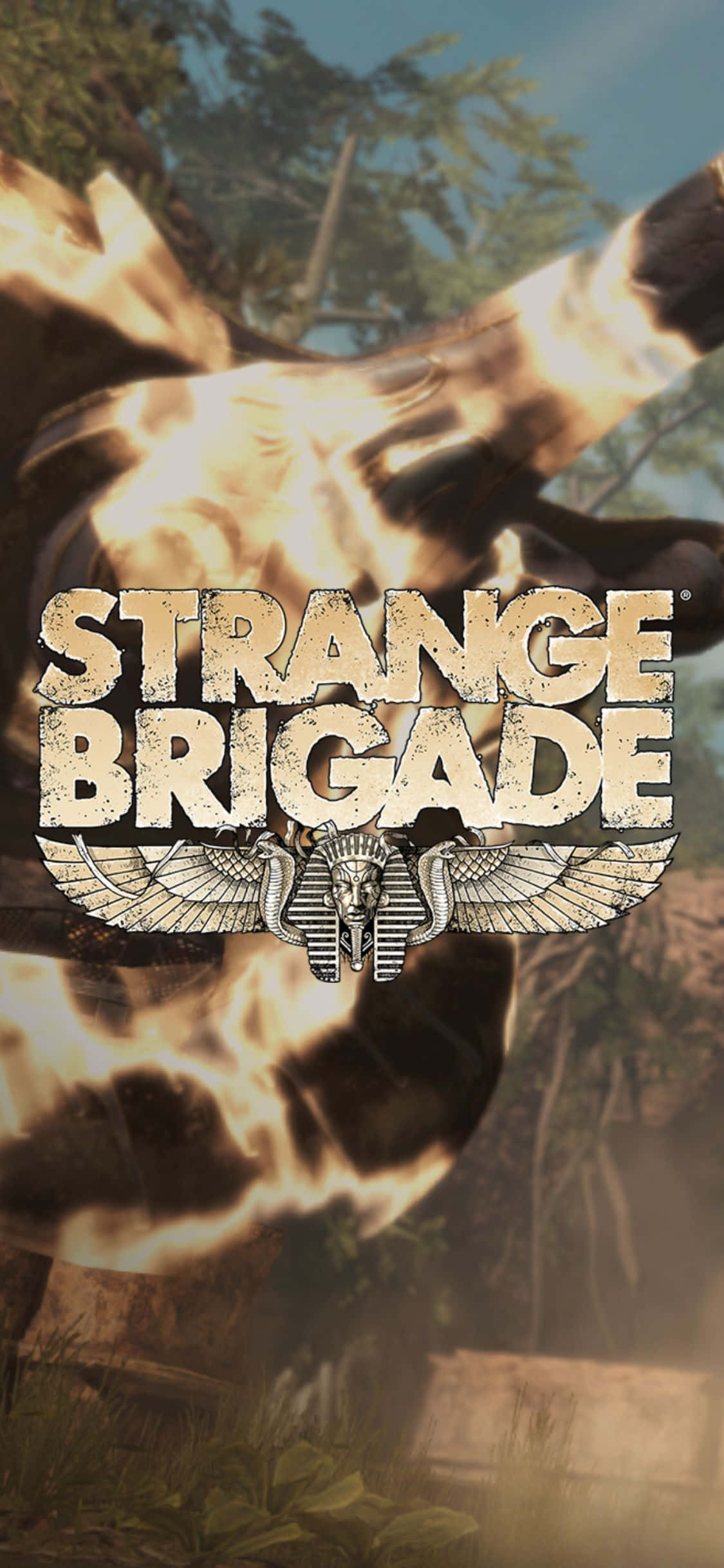 瓶裝火焰武器 iPhone X Strange Brigade 背景 壁紙