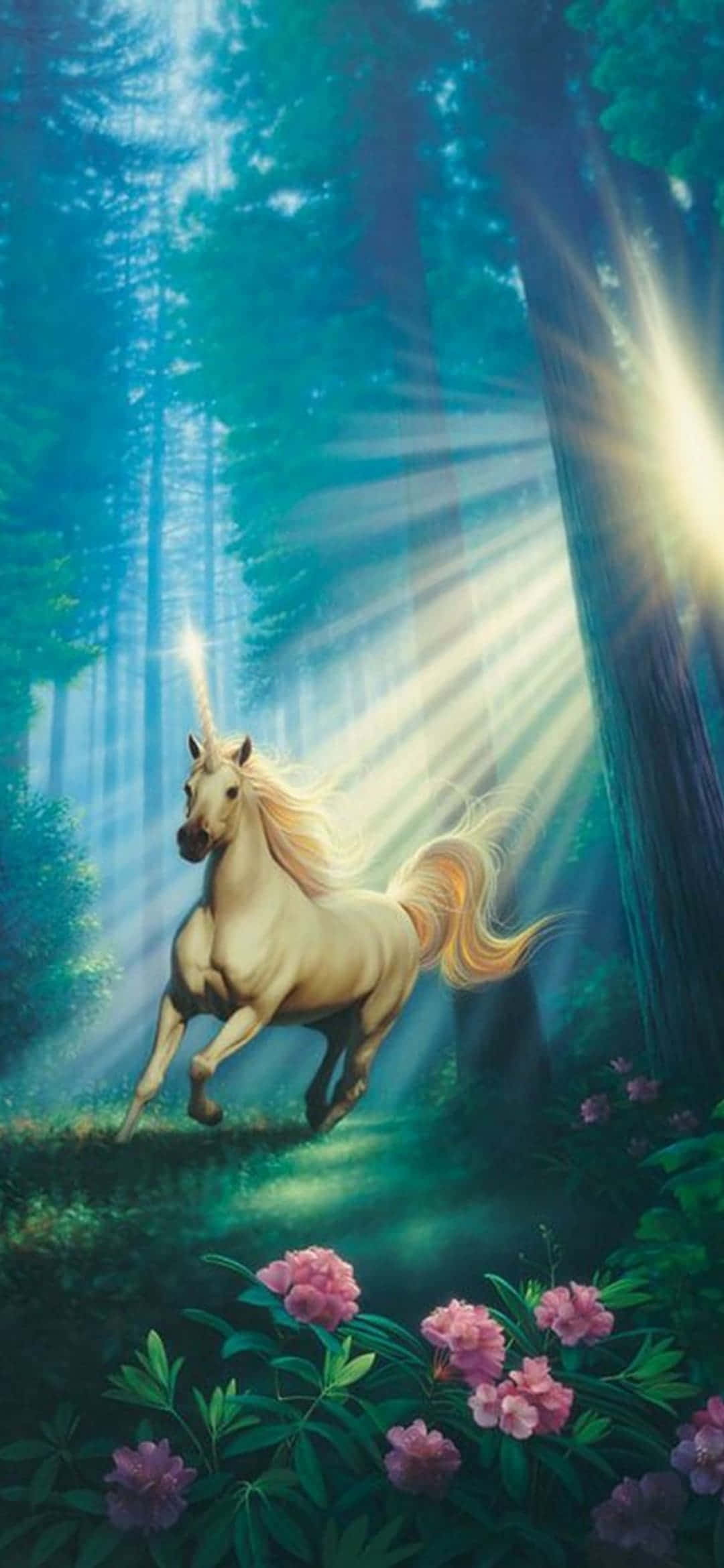 獨角獸穿越森林背景 壁紙