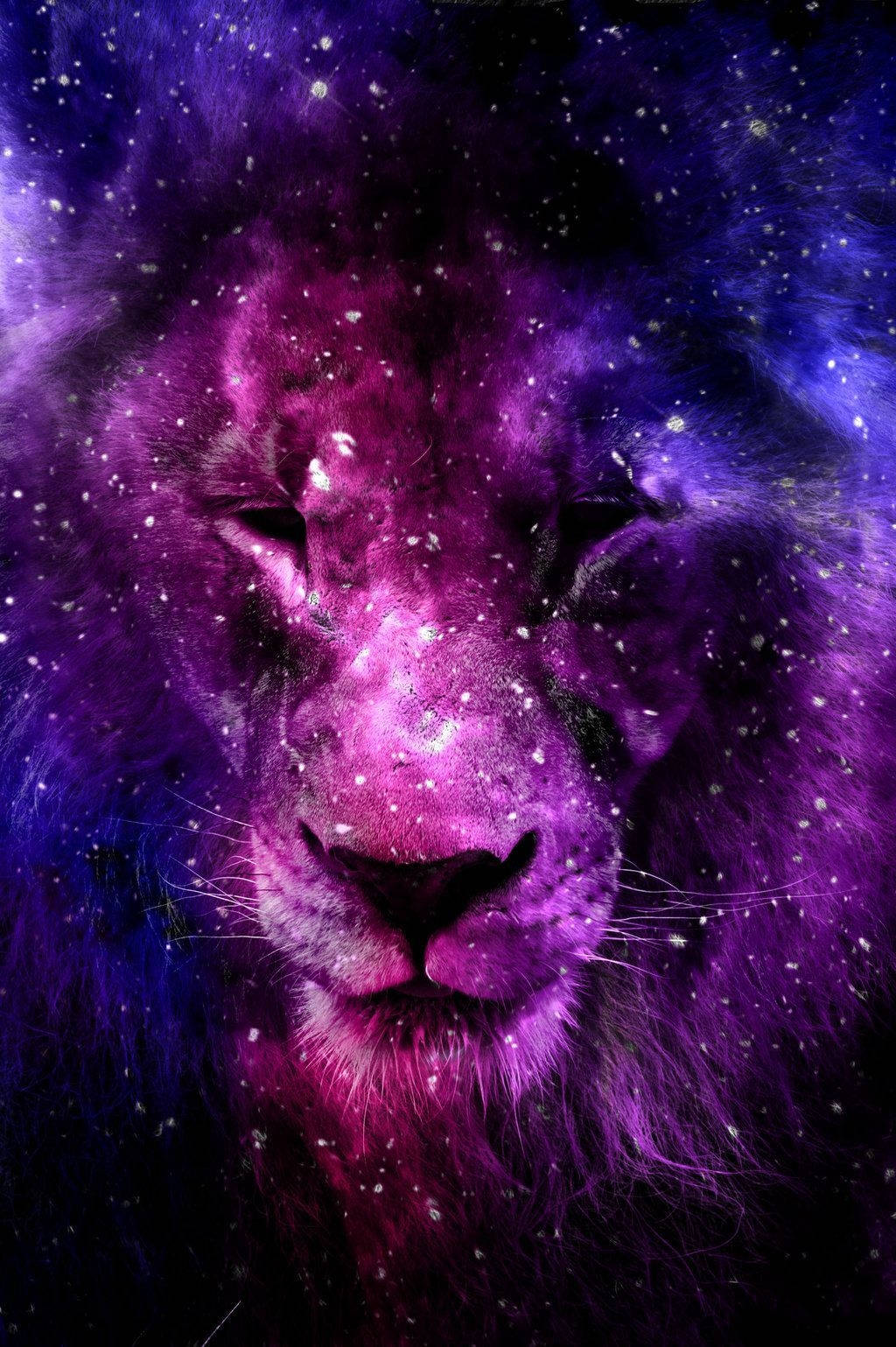 獅子星系紫夜 壁紙