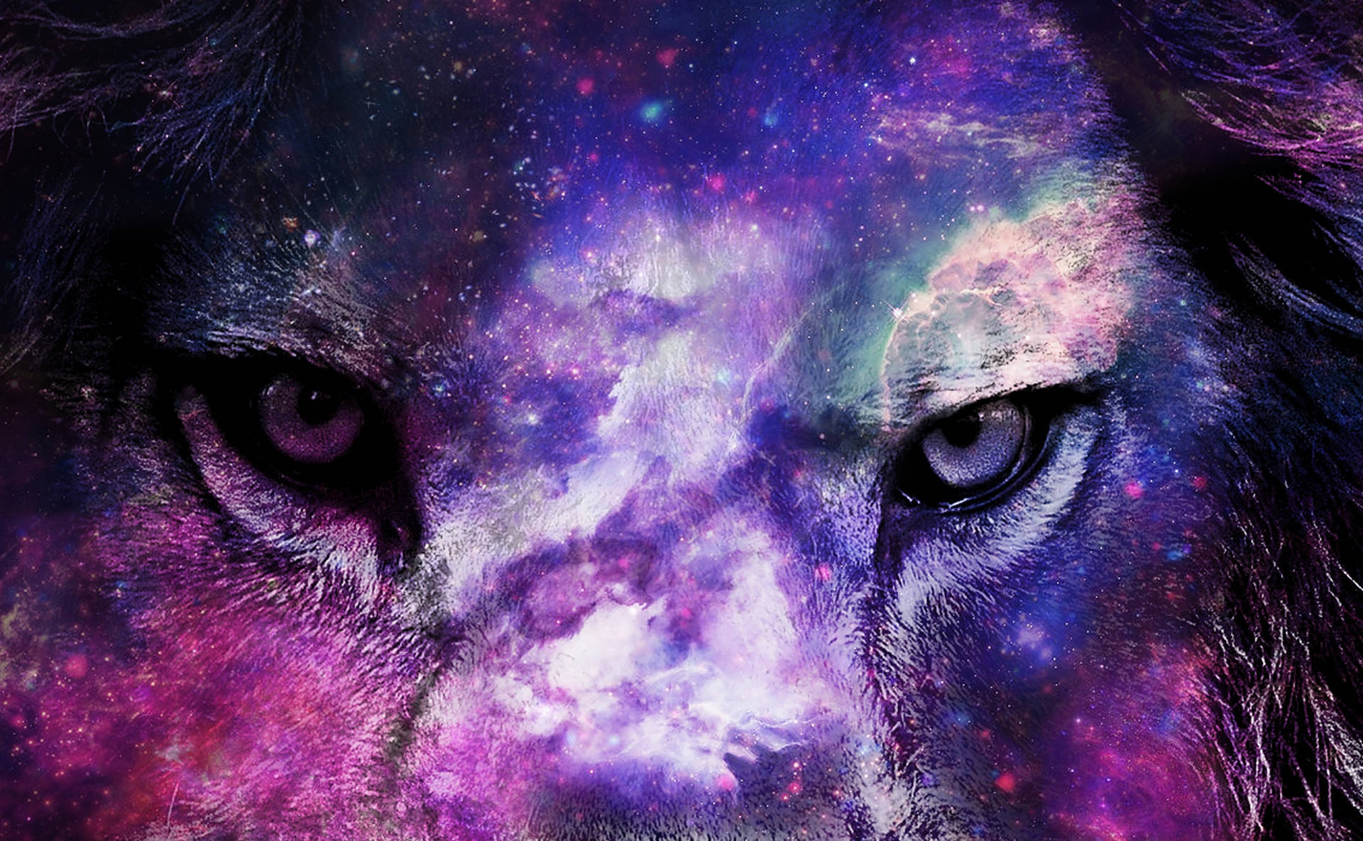 獅子星系變焦特寫 壁紙