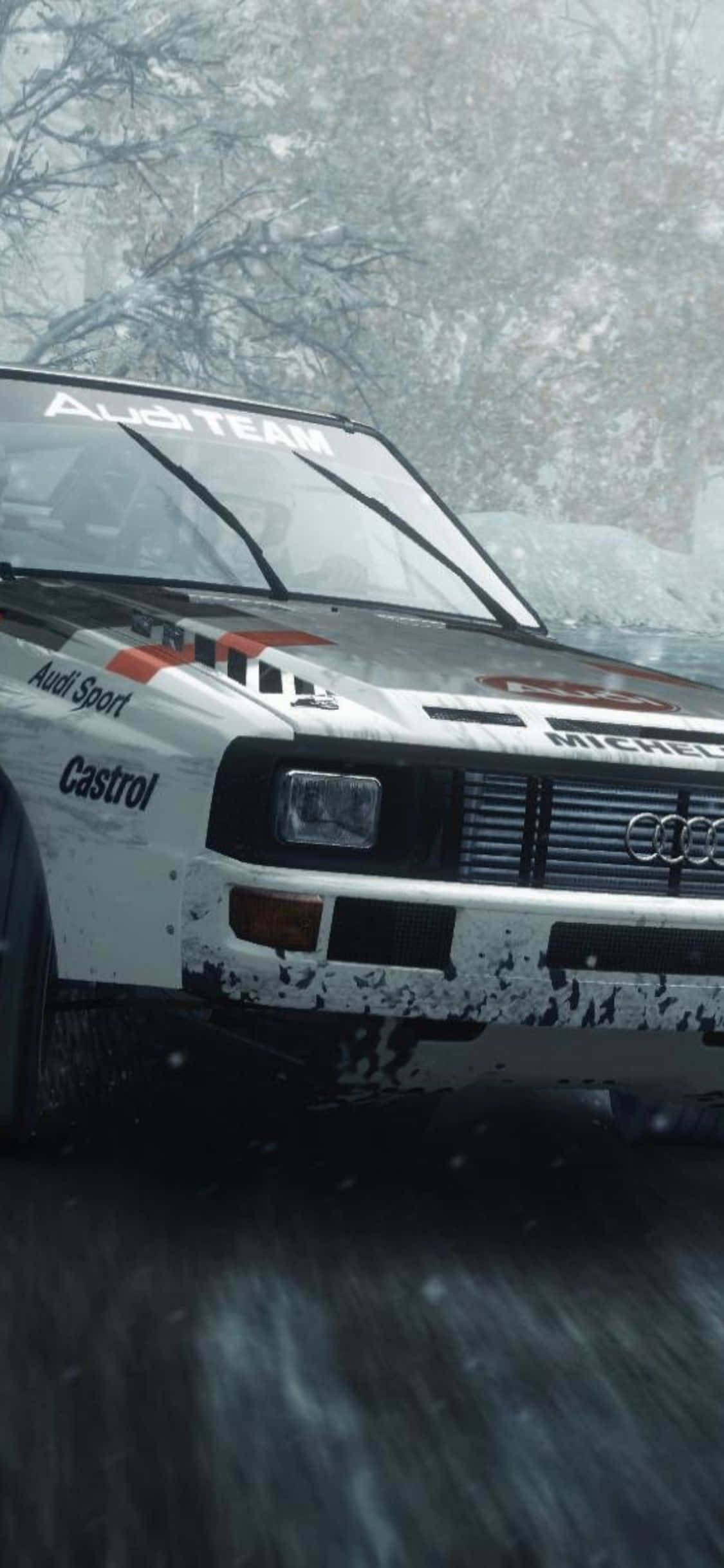 用 iPhone Xs Dirt Rally 征服世界 壁紙