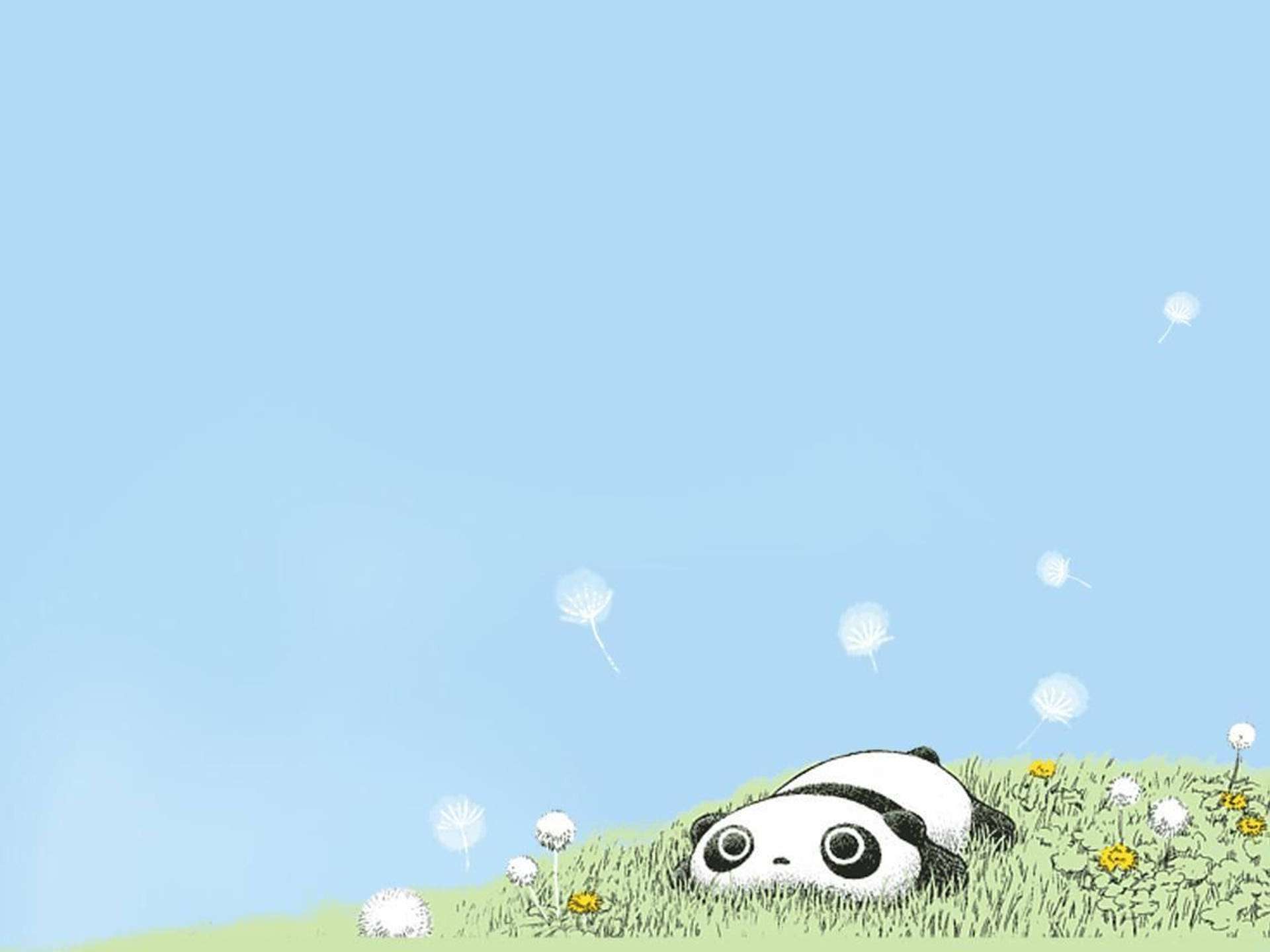 淺藍色背景的可愛熊貓角色 Tarepanda 桌布 — 卡哇伊 壁紙
