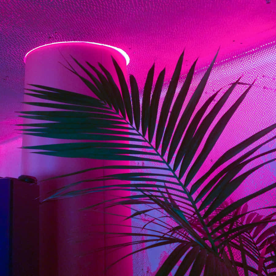 用這款亮眼霓虹粉紅美學點亮你的生活 壁紙