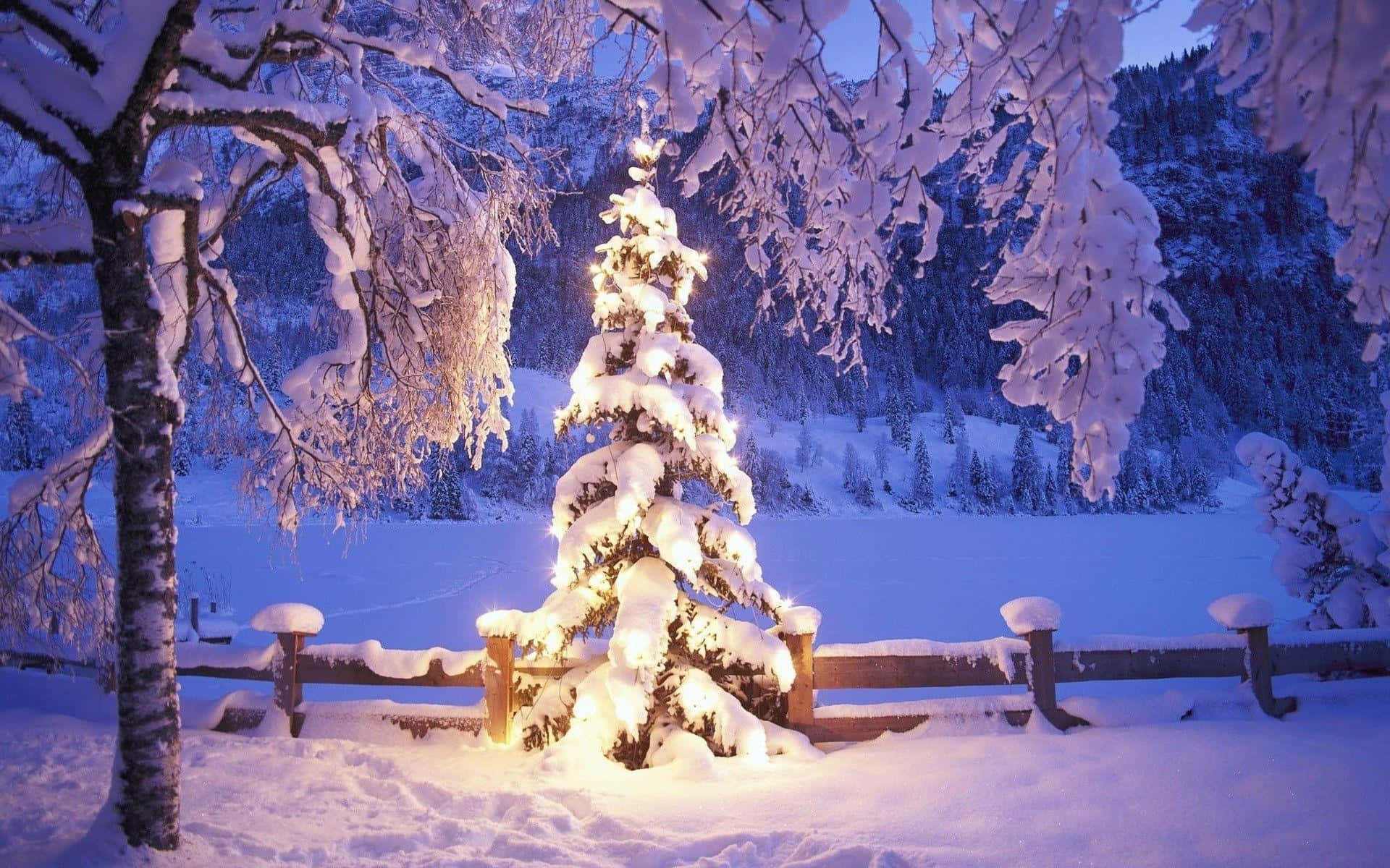 白色聖誕樹雪景背景創意 壁紙