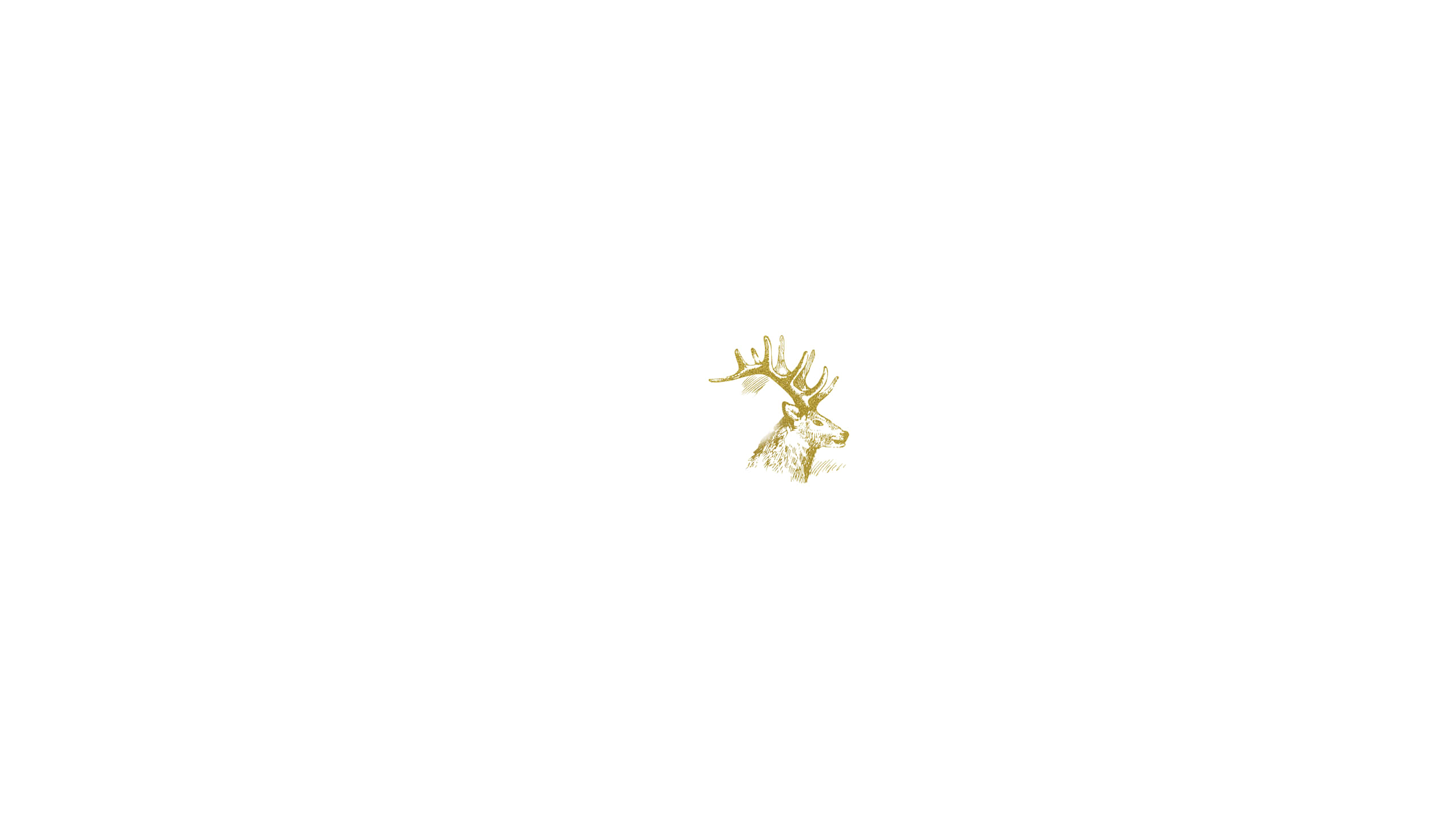 白色背景上的金色鹿头 壁紙