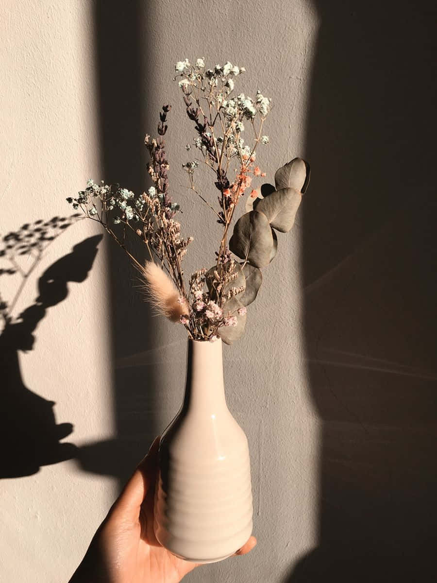 白色花瓶插著幾朵乾燥花 壁紙