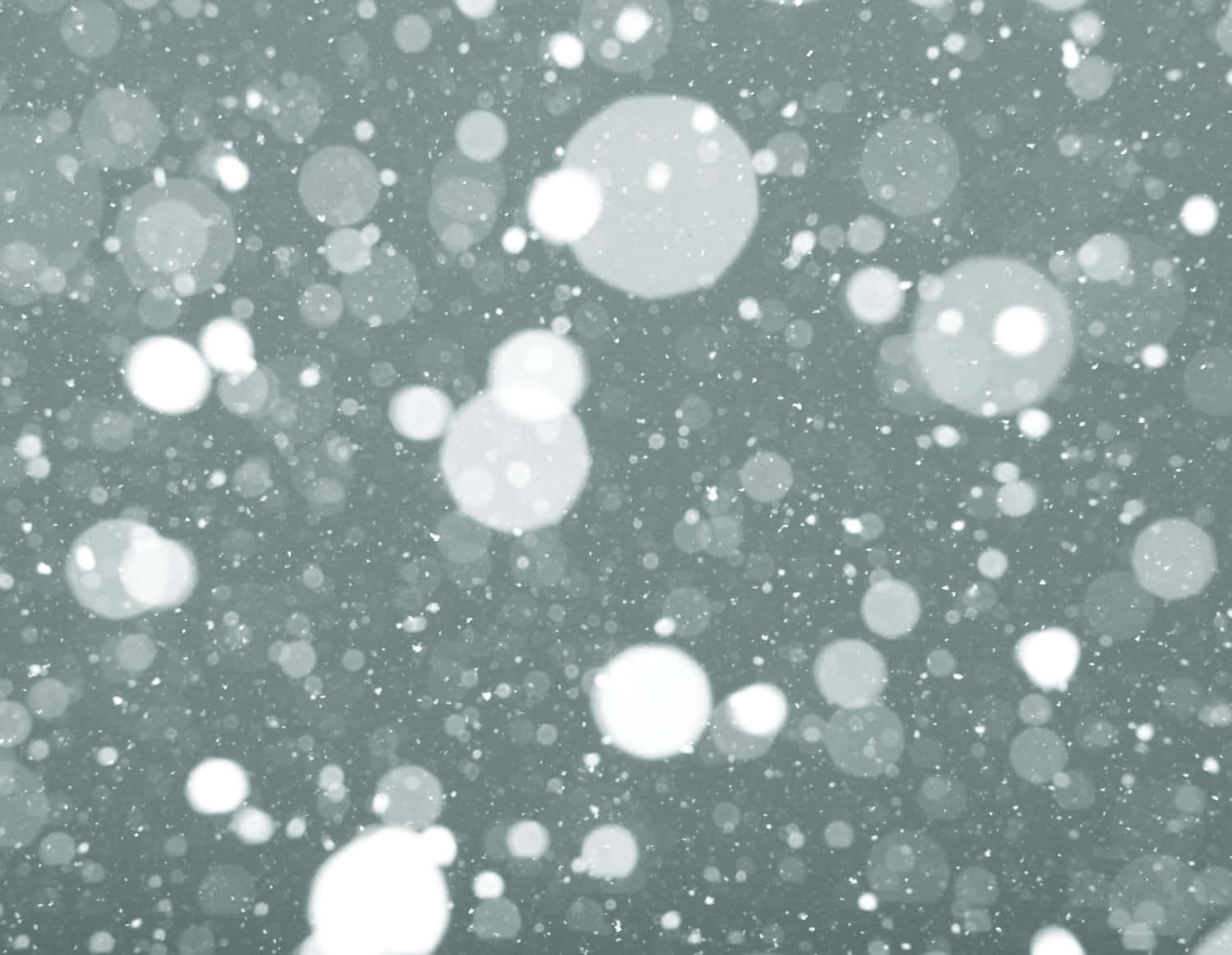白雪覆蓋的夢幻冬季景致 壁紙
