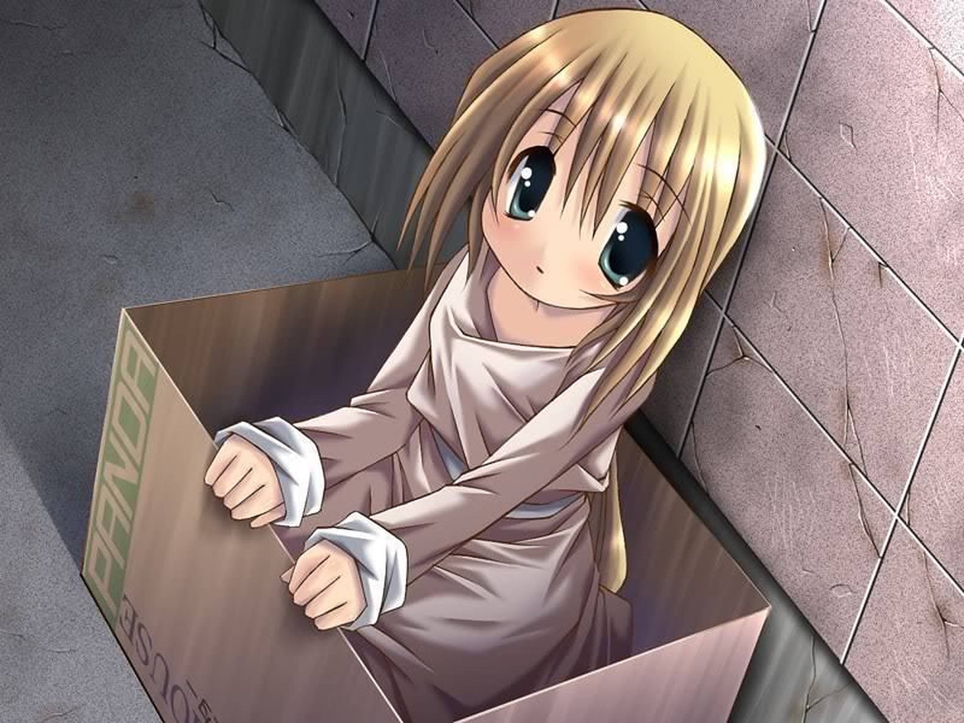 盒子里的动漫少女 壁紙