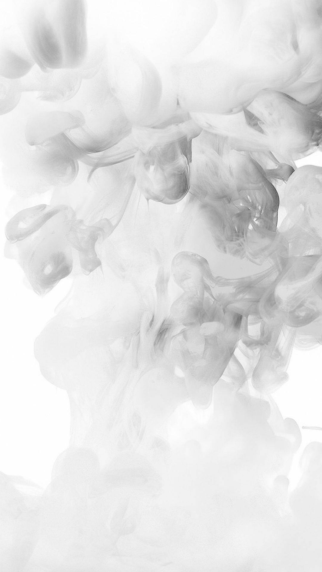 神秘白霧 壁紙