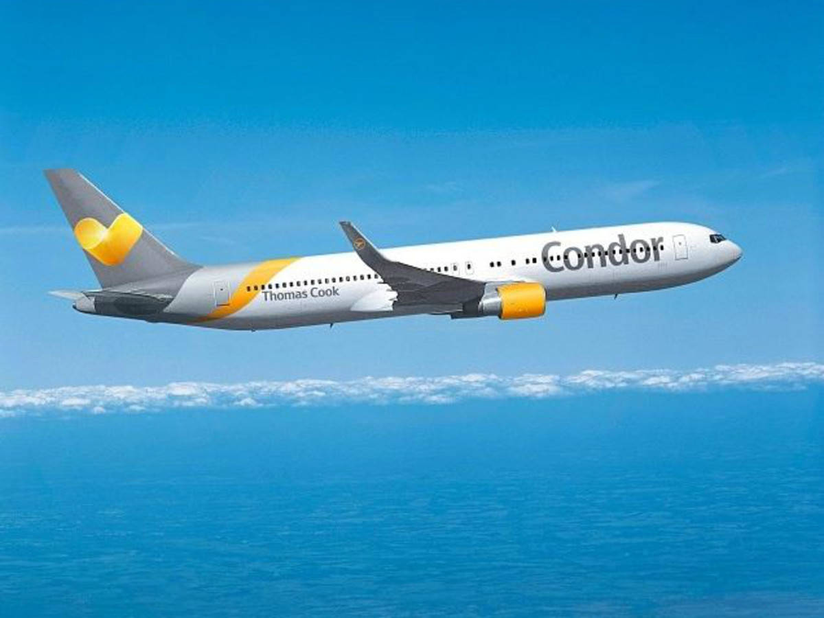 神鹰航空客机翱翔于海洋之上 壁紙