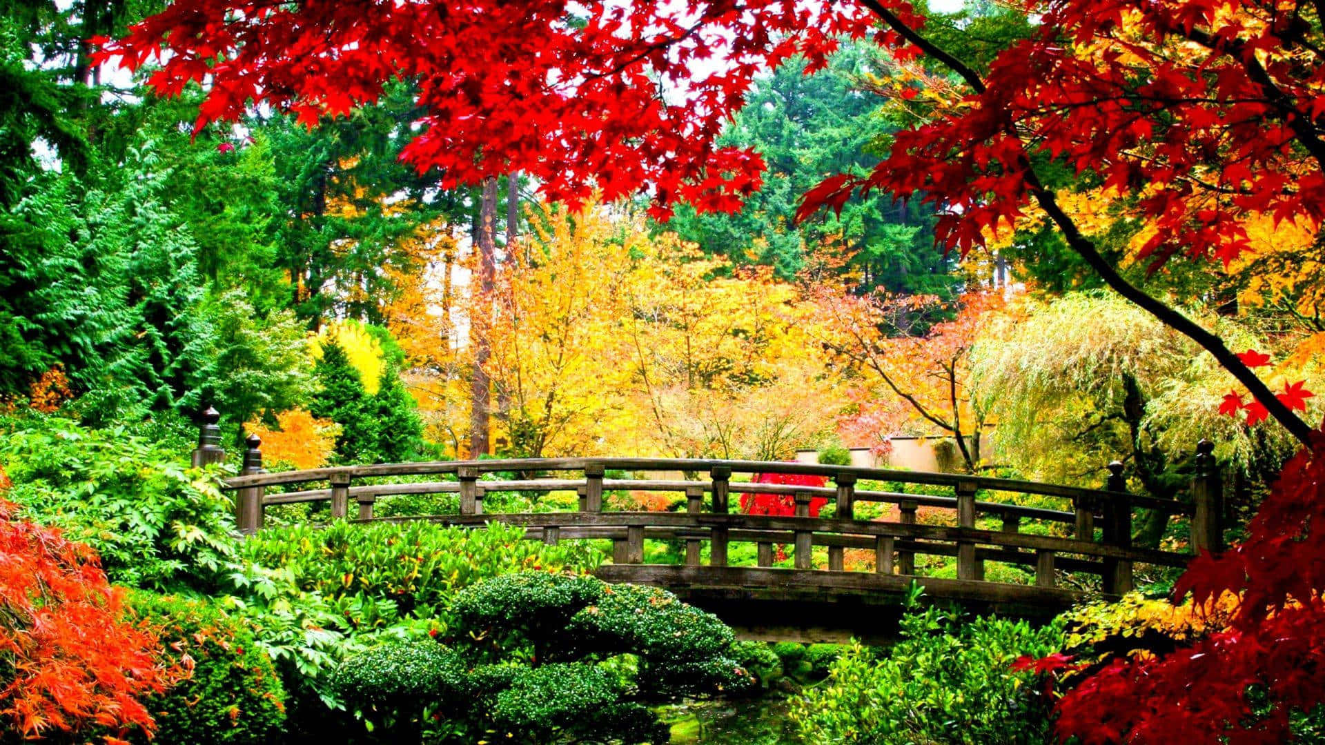 秋園橋景高清秋季背景 壁紙