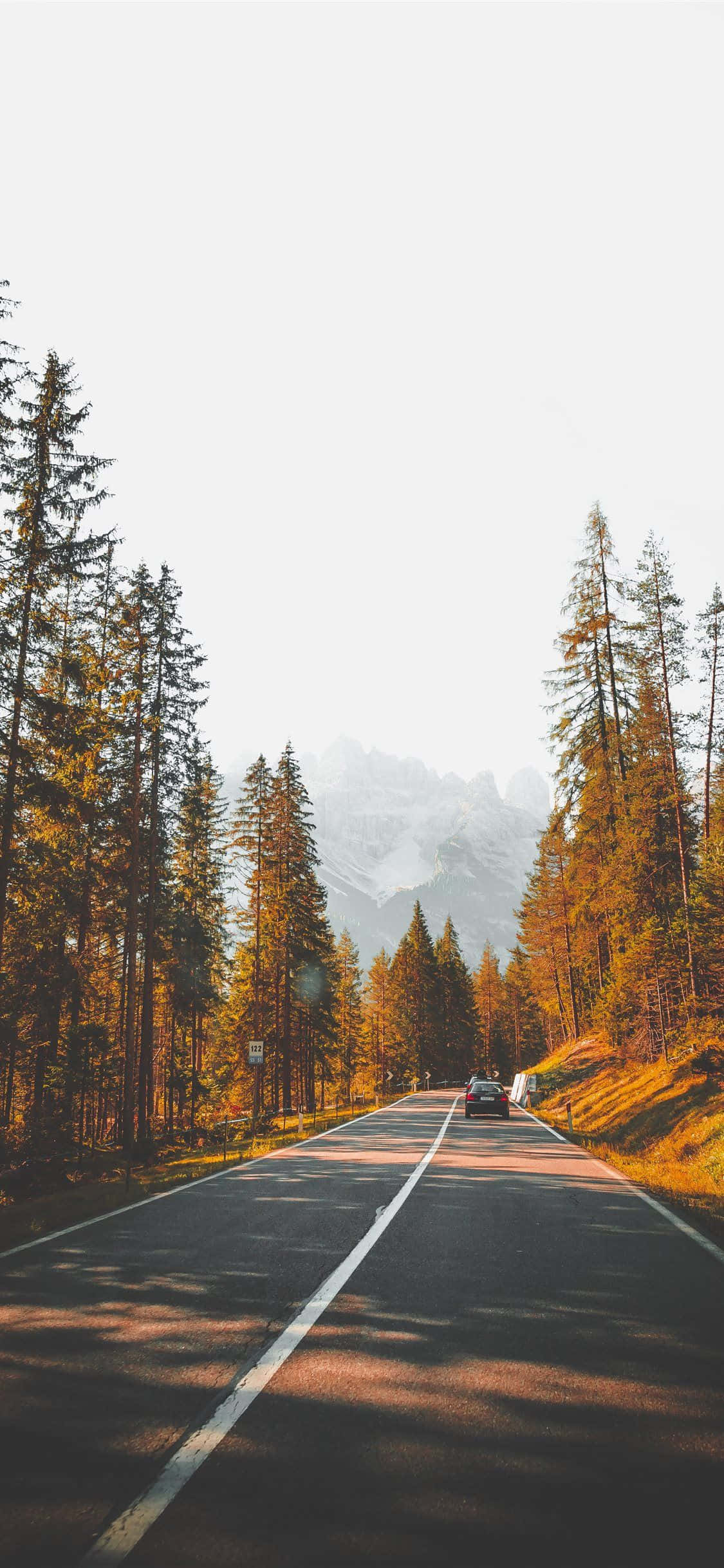 美學秋日道路戶外背景 壁紙