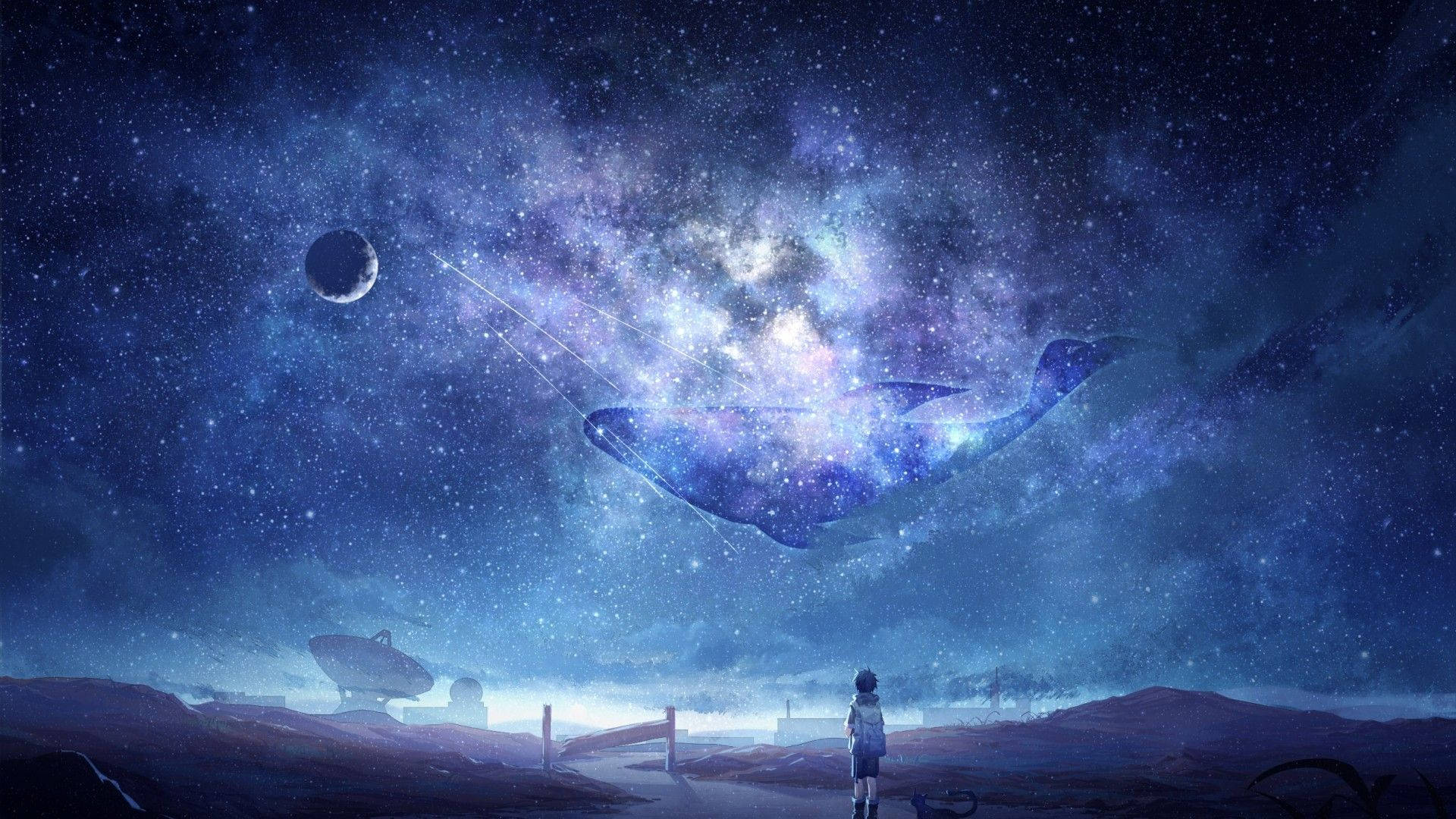 少年站立動漫夜空