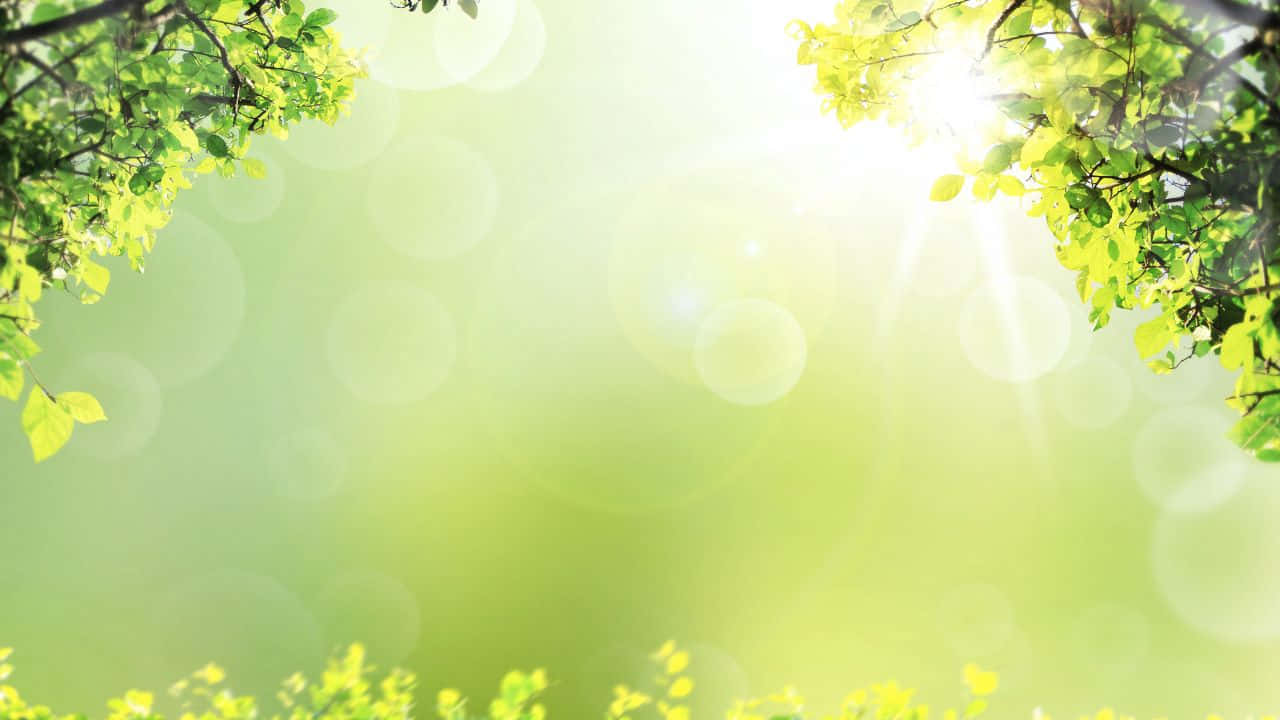 空拍視角下的無盡沙灘美景 壁紙