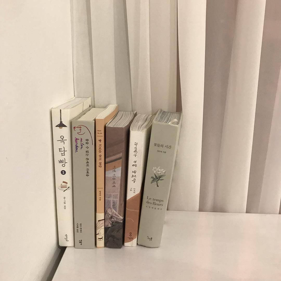 米色美學韓系書籍桌布