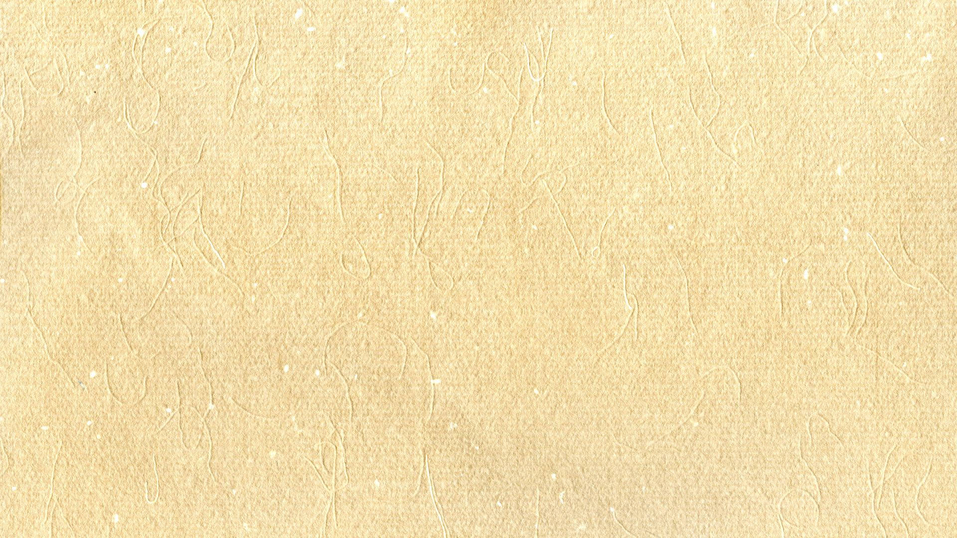 米色背景纸纹理 壁紙
