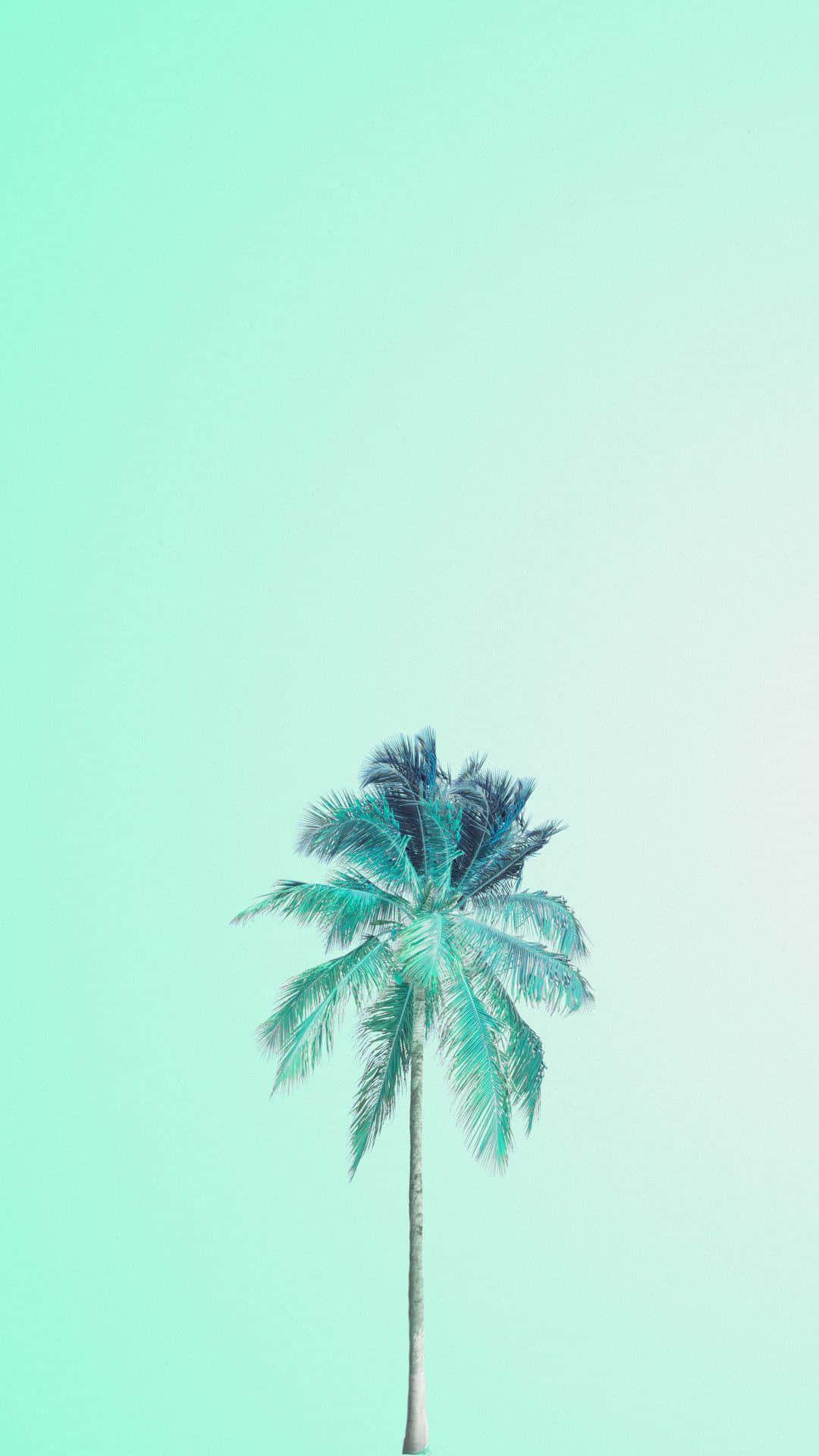 粉彩绿色背景椰子树 壁紙