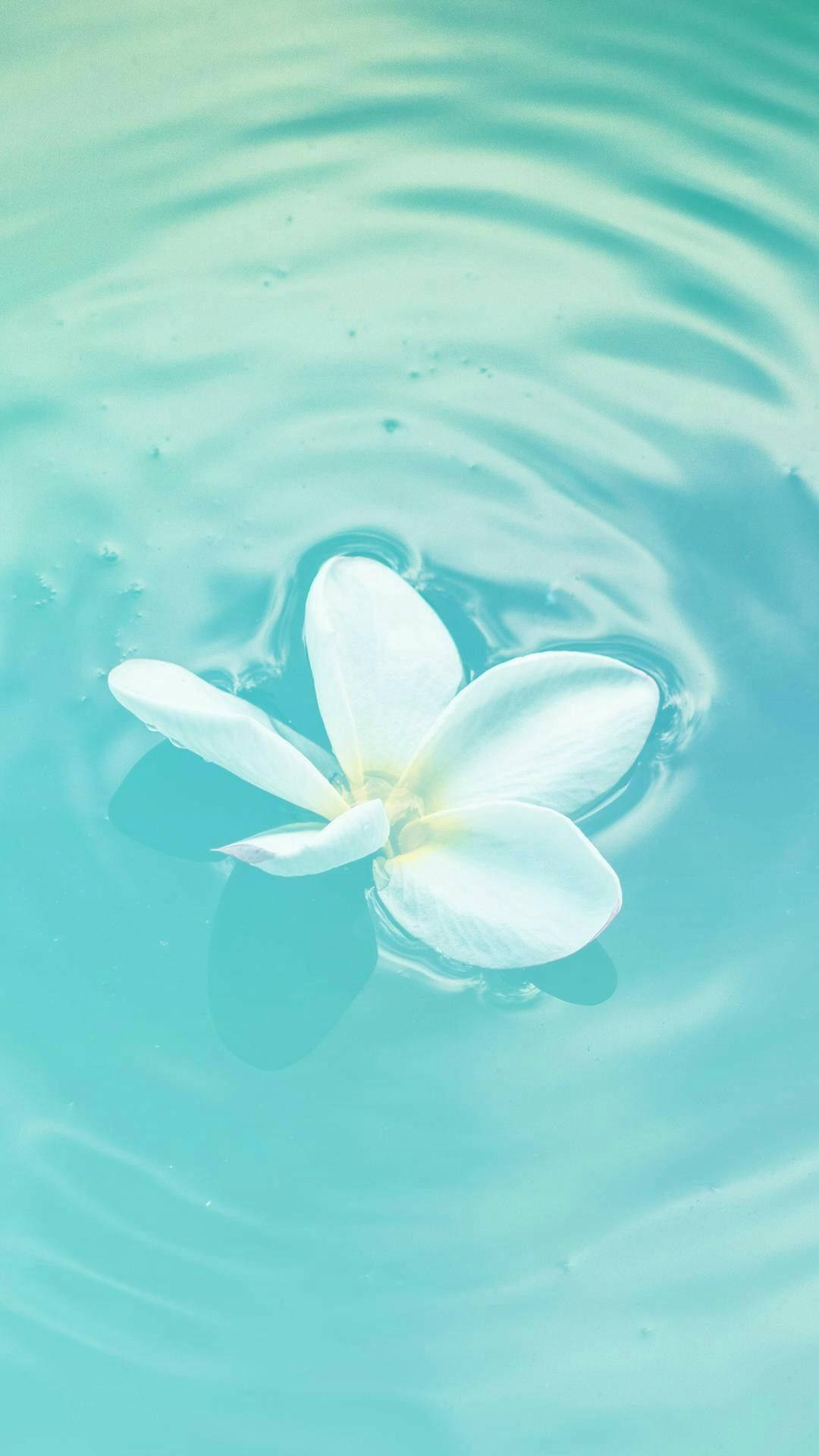 粉彩青綠漂浮花朵 壁紙