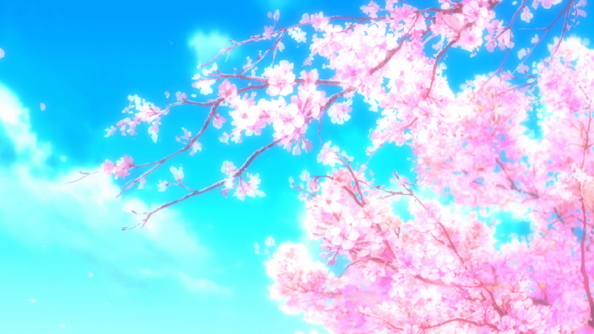 粉紅動漫美學櫻花 壁紙