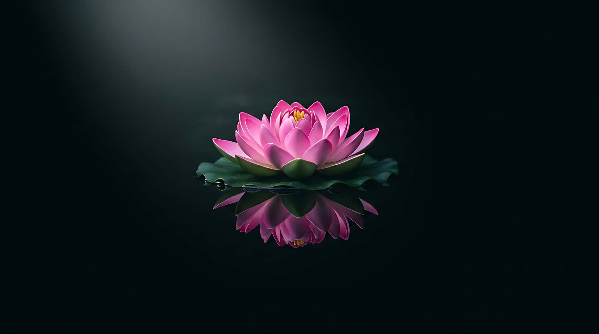 蓮花,粉紅蓮花,睡蓮,倒影,禪,冥想,健康,漂浮,極簡,水療,寧靜,平靜,深色背景,自然,花朵,盛開,純淨,靈性,瑜伽,放鬆 — 花朵 壁紙