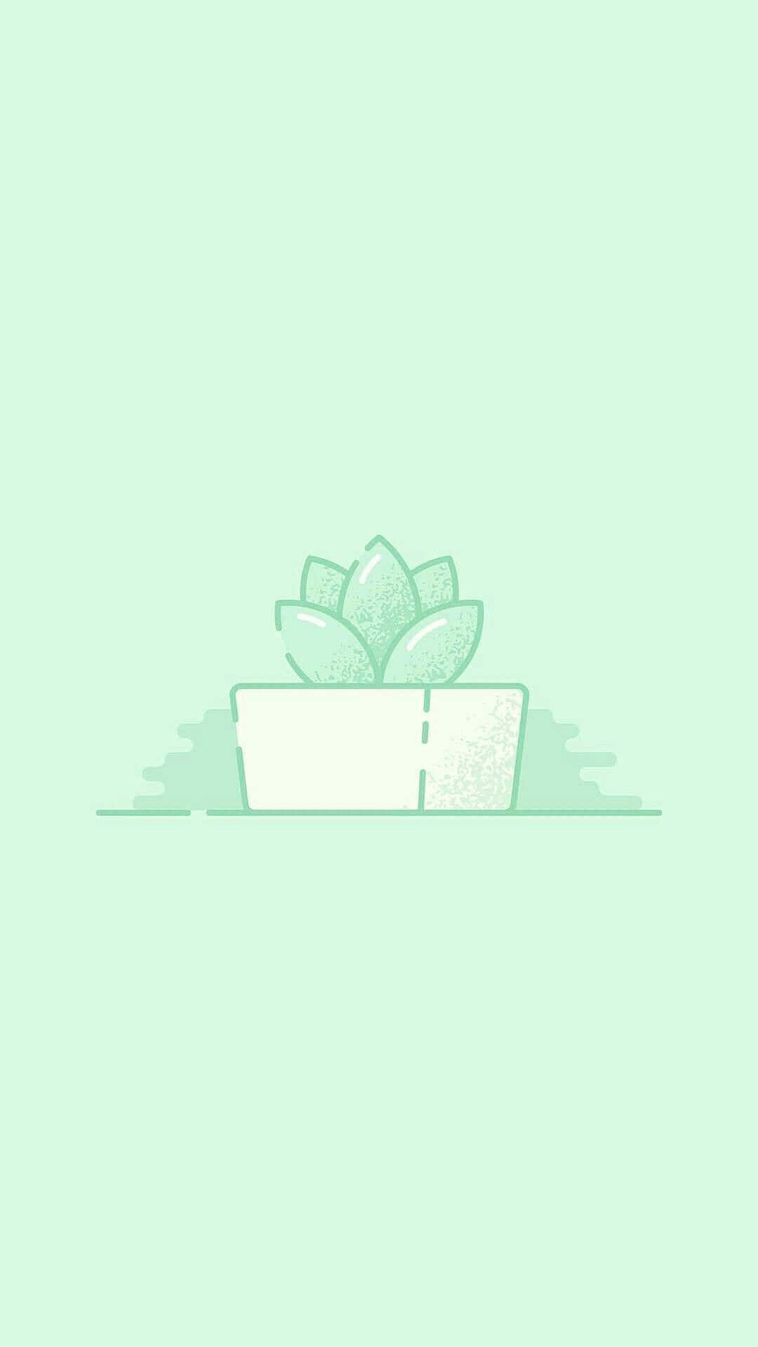 粉绿背景盆栽植物 壁紙