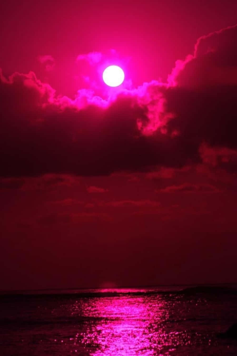 粉色夕陽映照海洋 壁紙