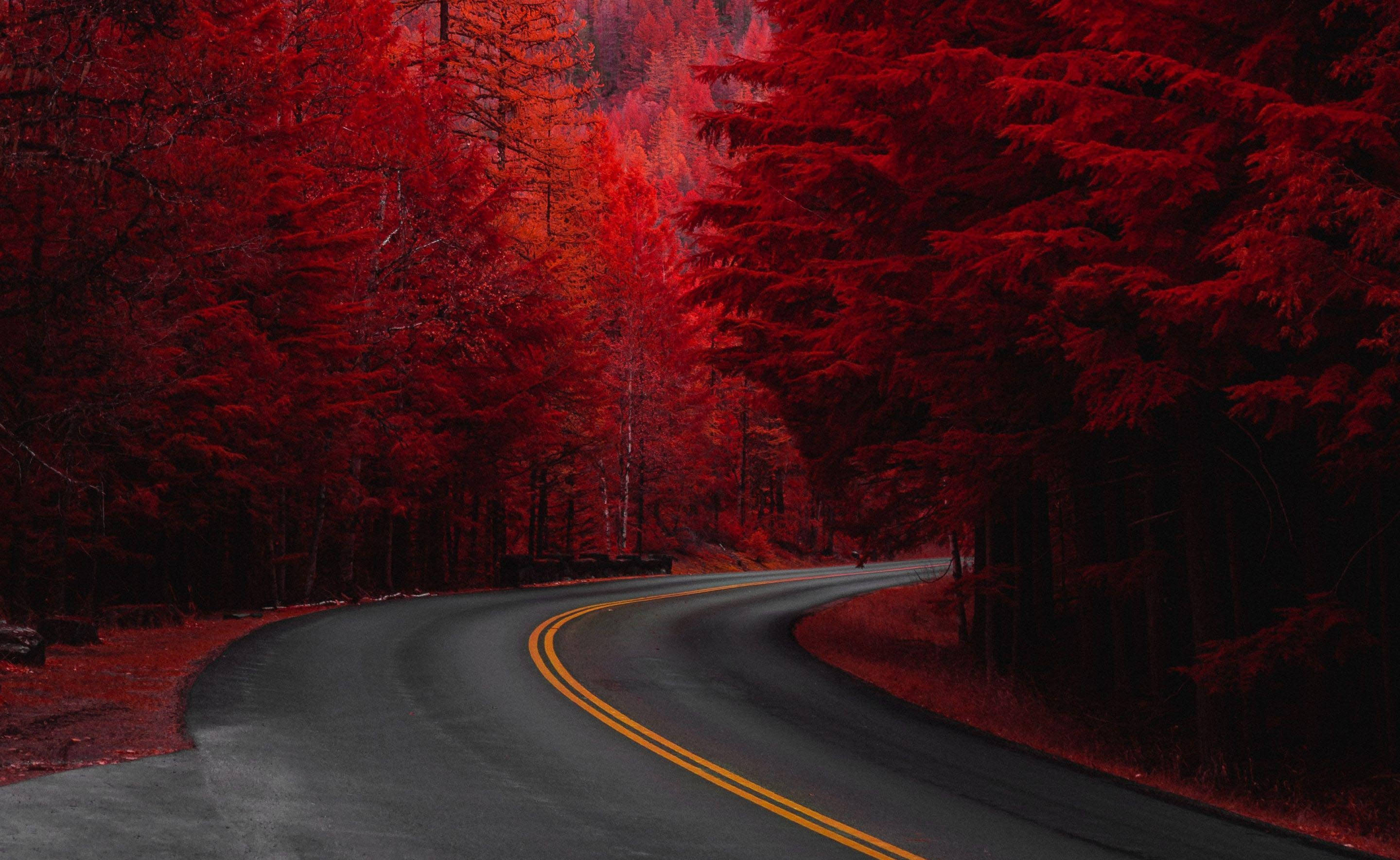 紅色秋景美道路 壁紙