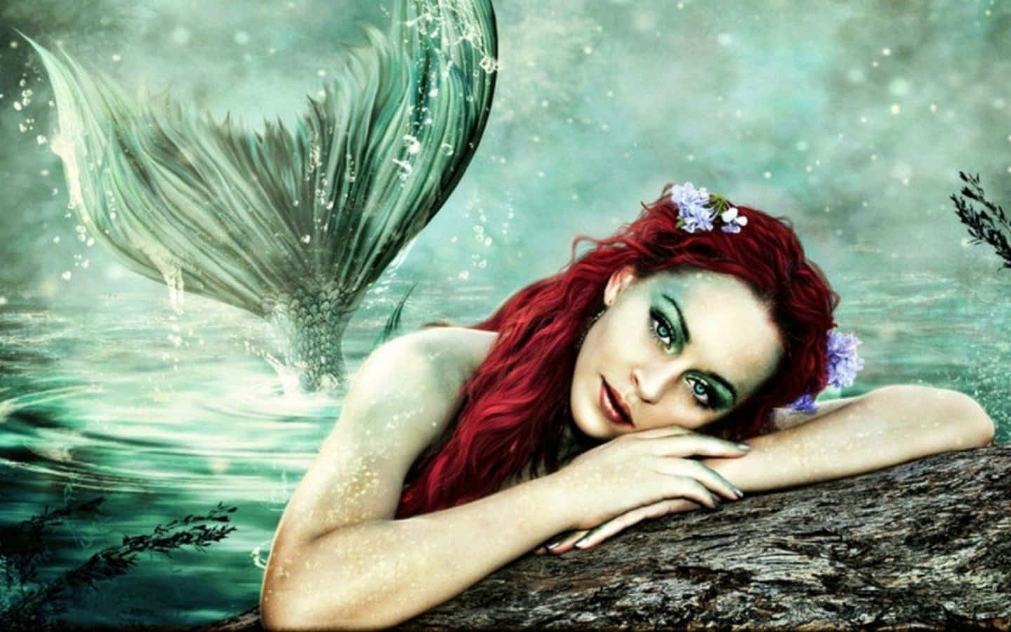 美麗的美人魚 — 美人鱼 壁紙
