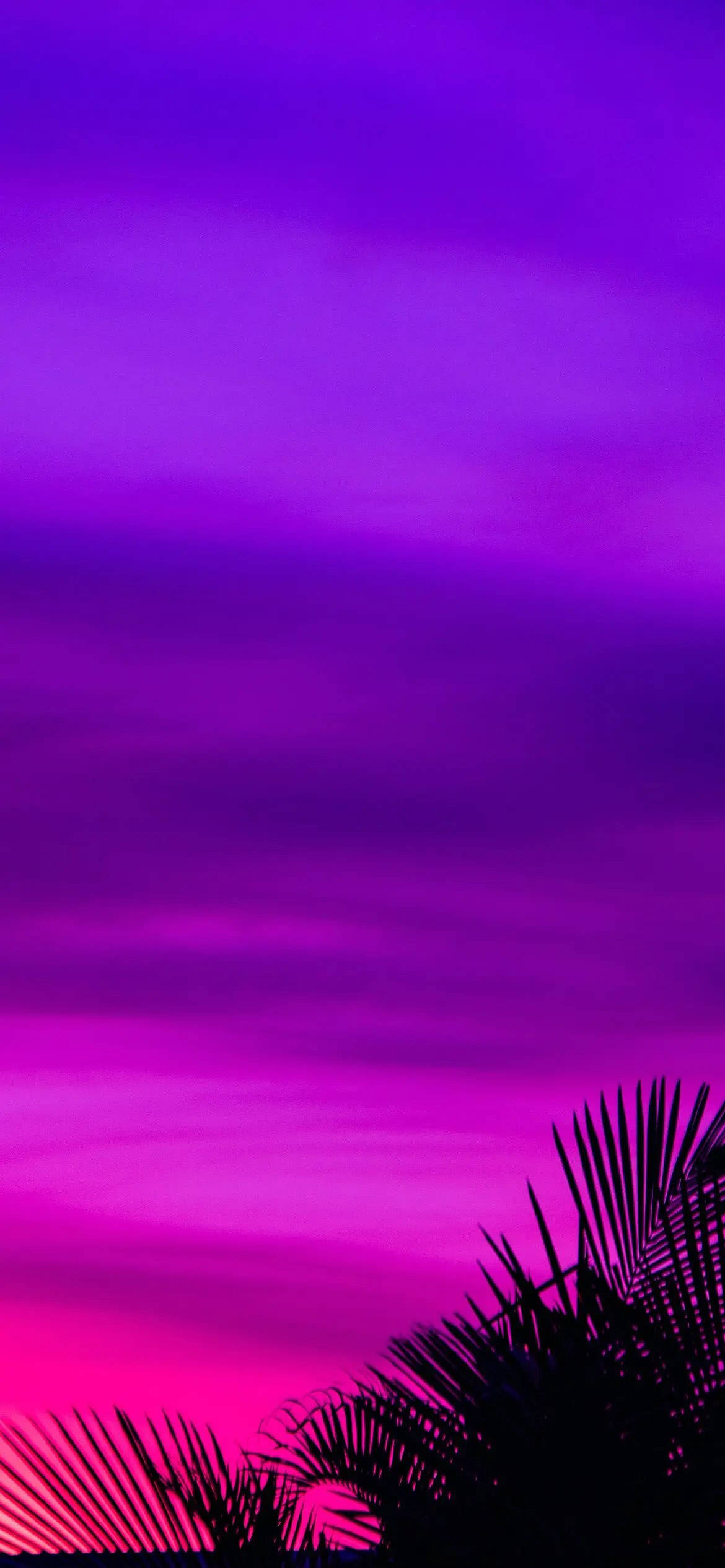 紫色美學手機夕陽棕櫚樹 壁紙