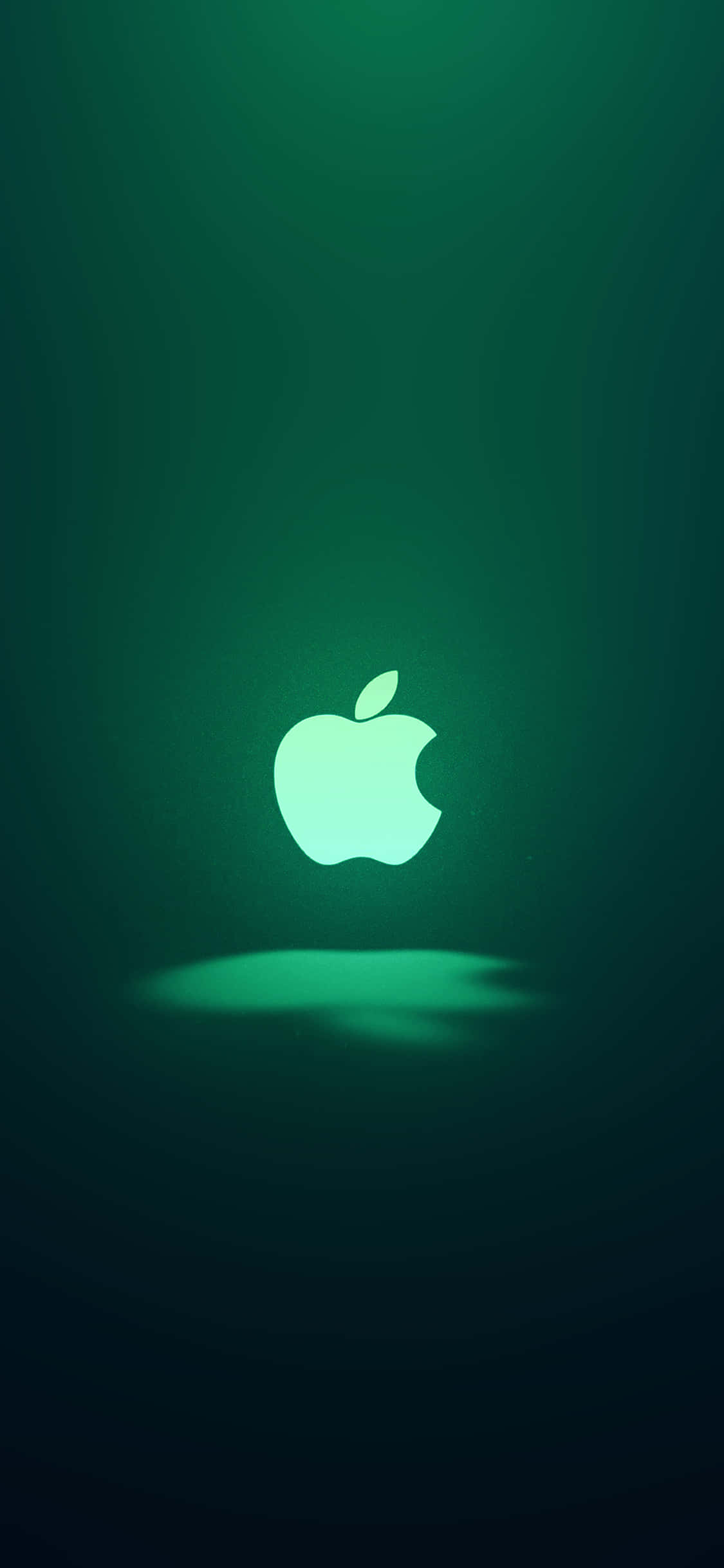 經典iPhone 11綠色蘋果標誌 壁紙